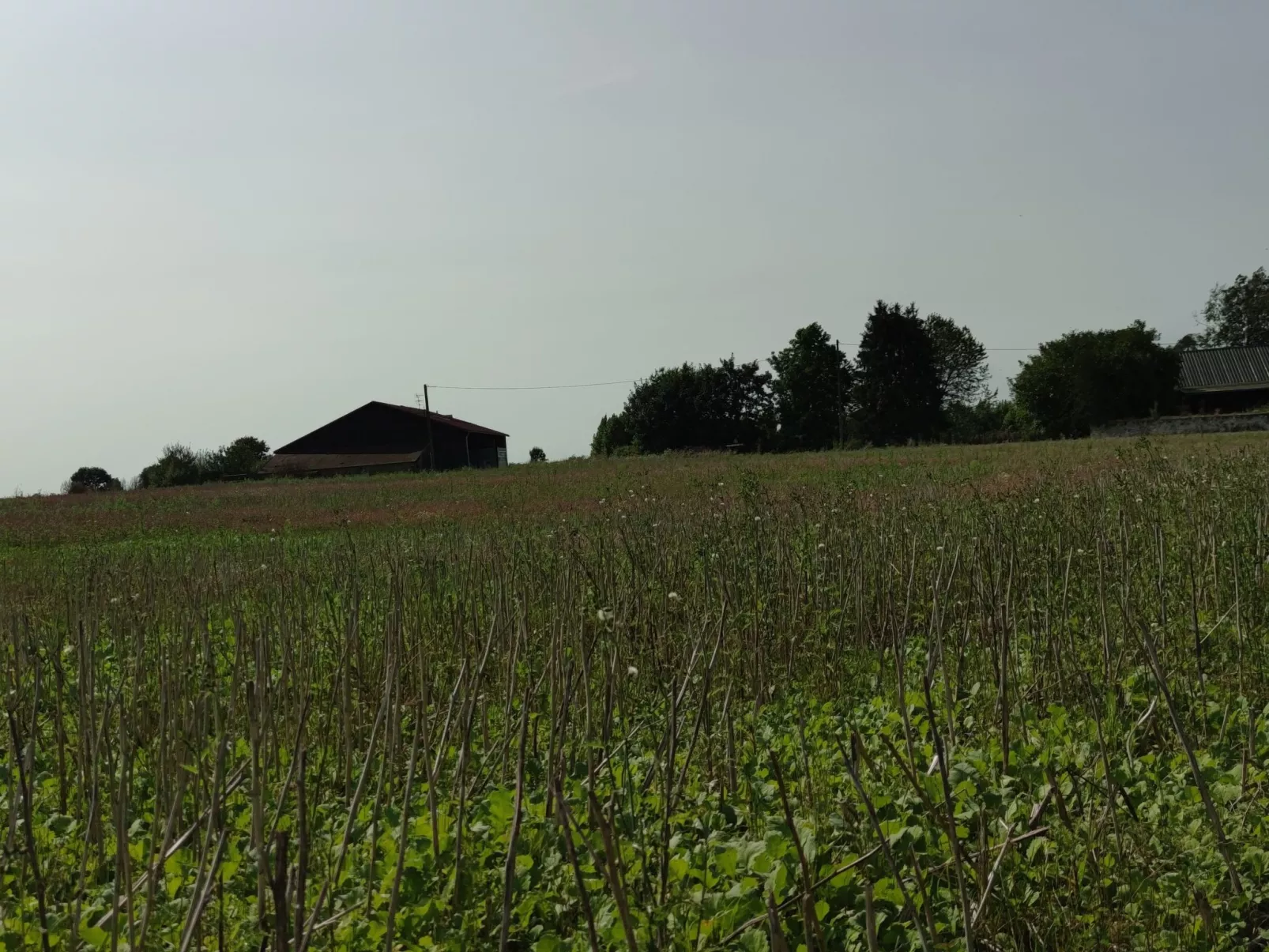 Gesellige Momente in der Nähe von Disneyland Paris-Image-tags.info