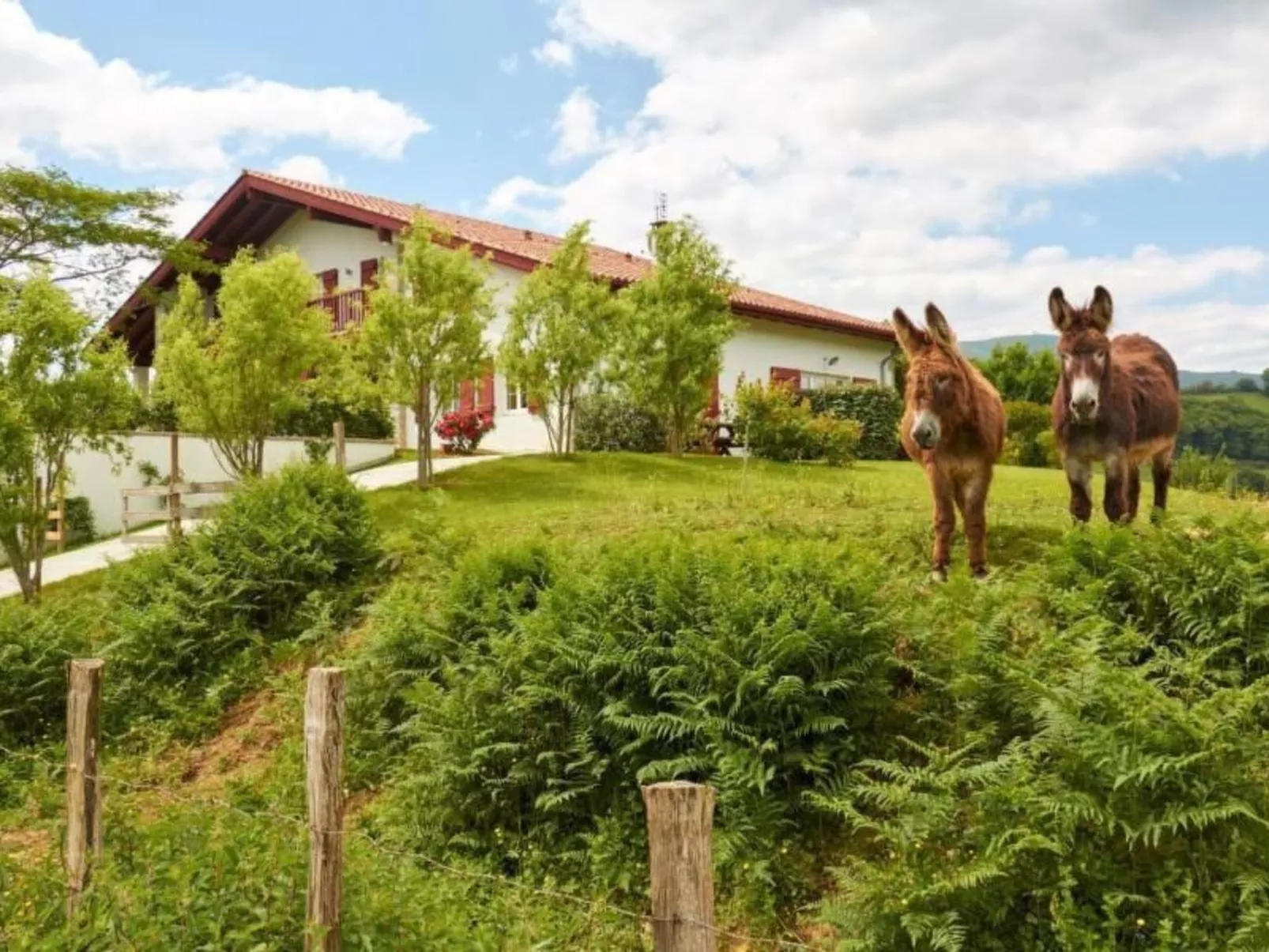 MONDARRAIN-Image-tags.info