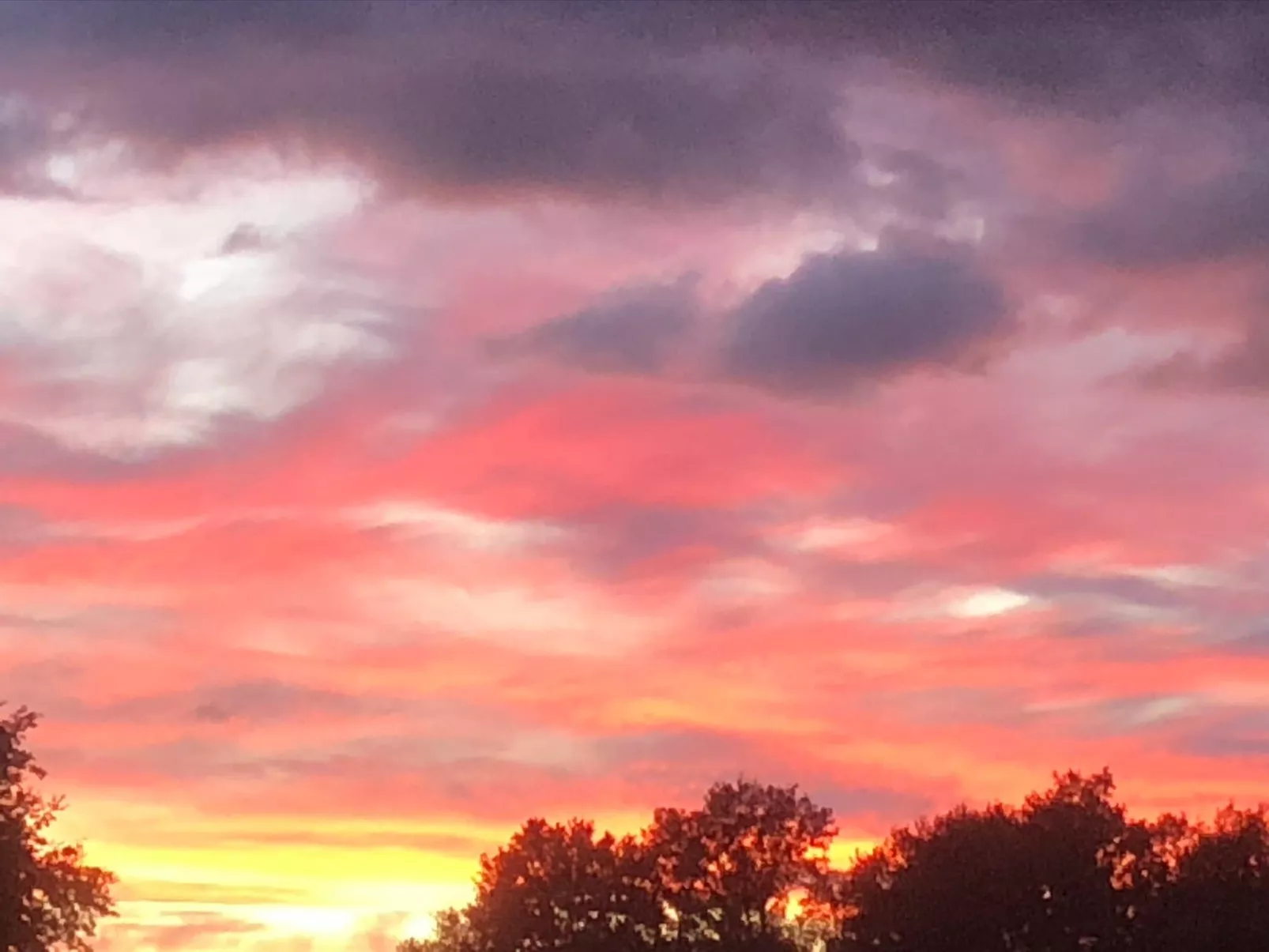 Direkt am Strand-Buiten