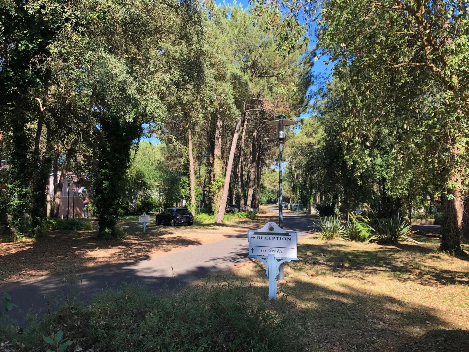 Schönes Appartment in ruhiger Lage in einer baumbestandenen Residenz mit beheiz-Buiten