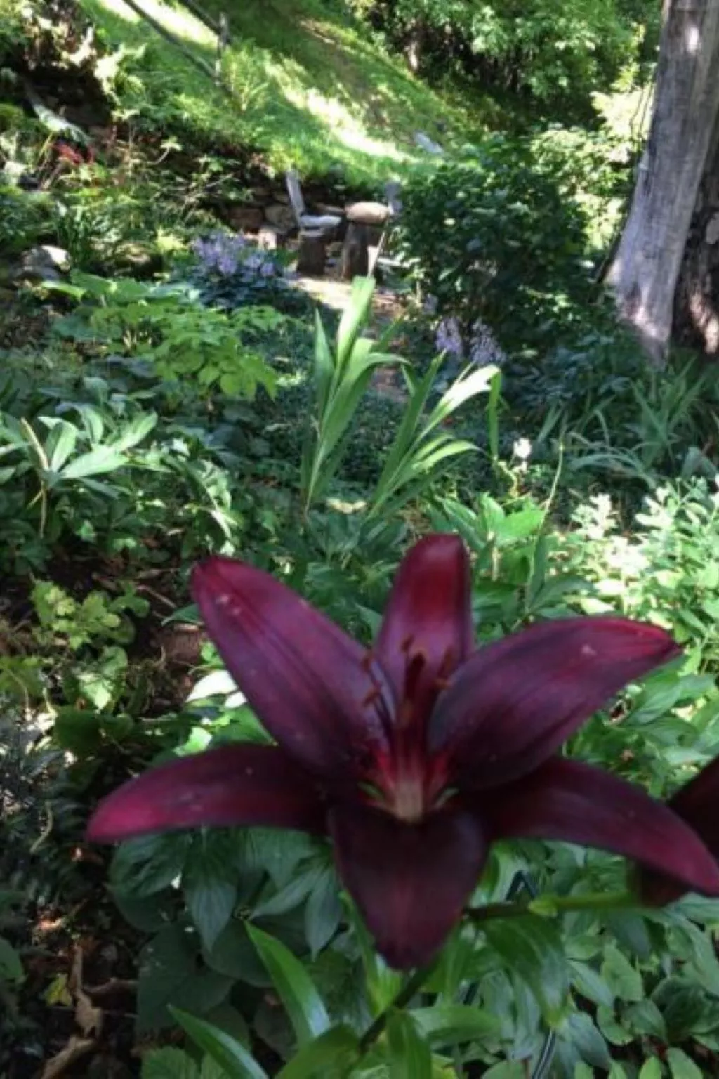 Weg von der Zuvielisation-Buiten