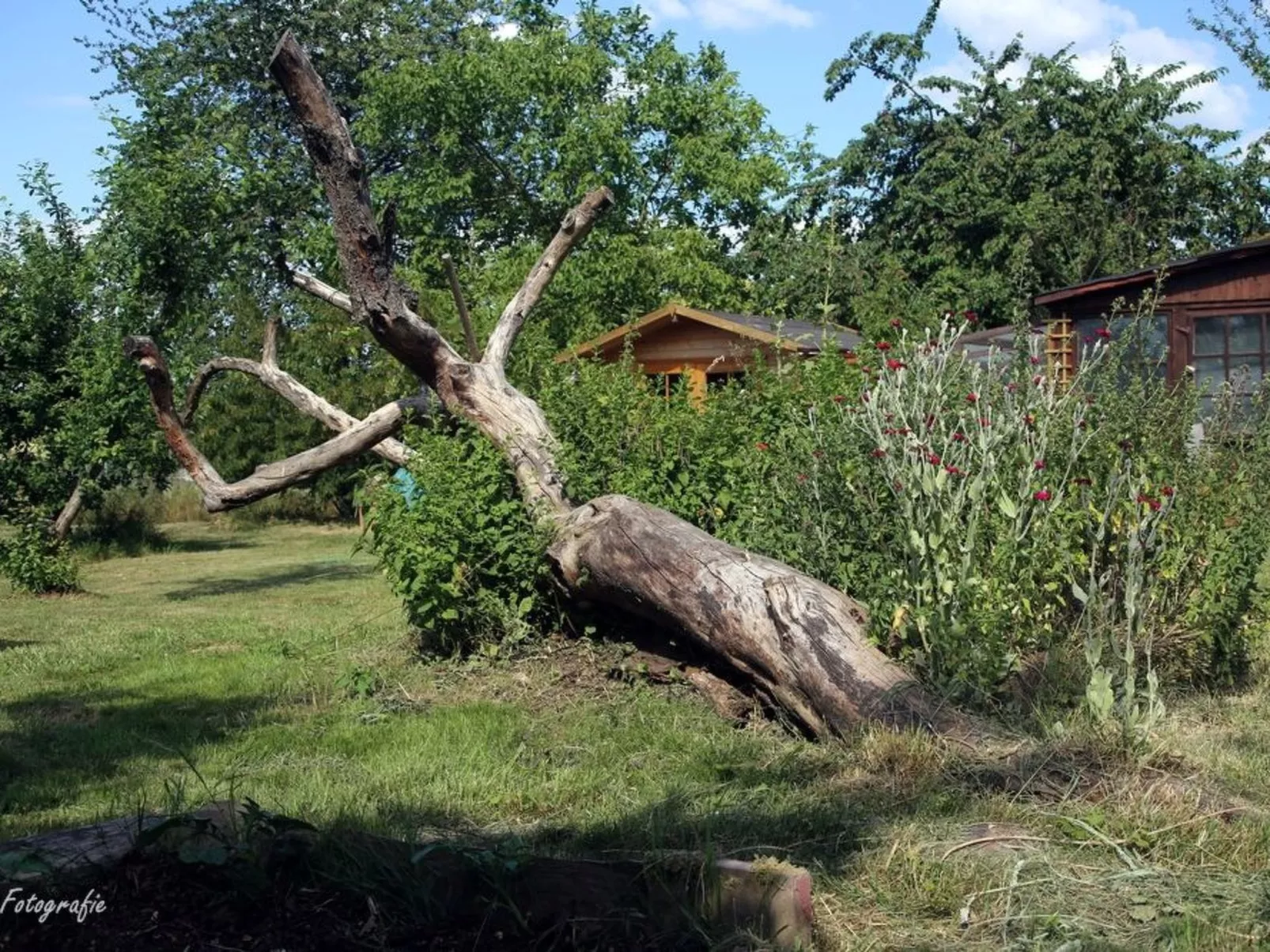 Gemütliches Appartement in Betschdorf-Image-tags.info