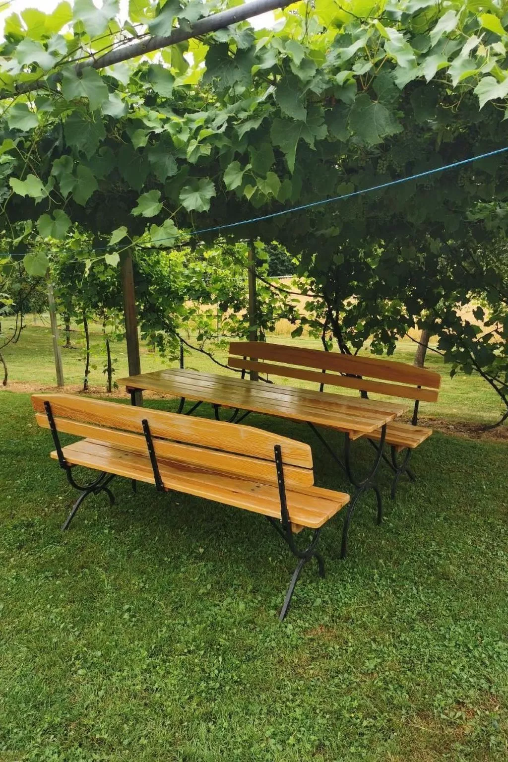 Urlaub für die Seele - Ferienhaus mit Sauna-Image-tags.info