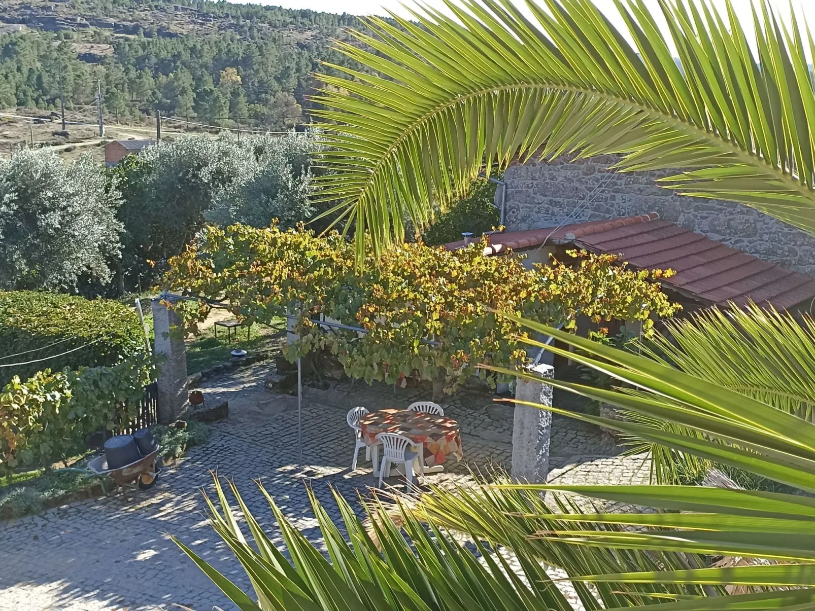 Ferien auf dem Bauernhof mit Weinberg-Buiten
