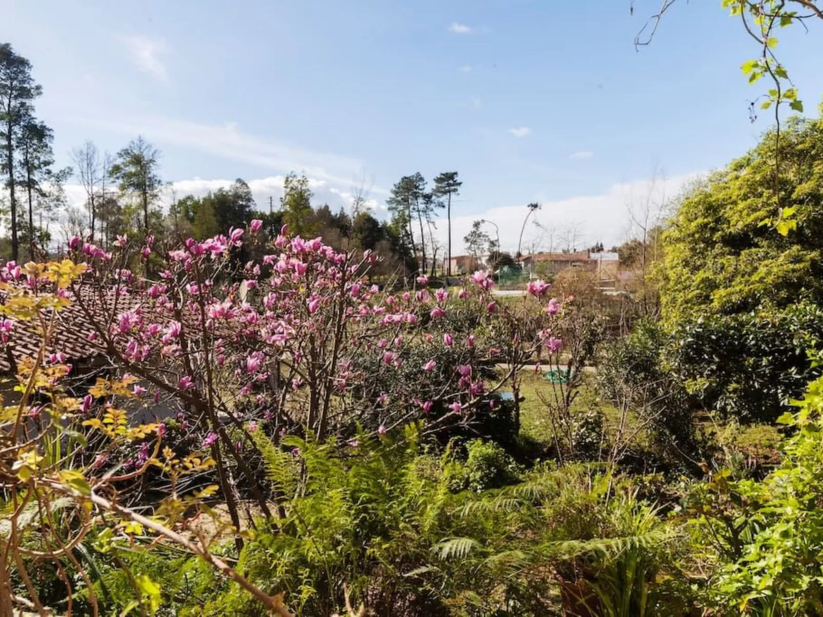 Maison du Moulin in Bauernhof-Buiten