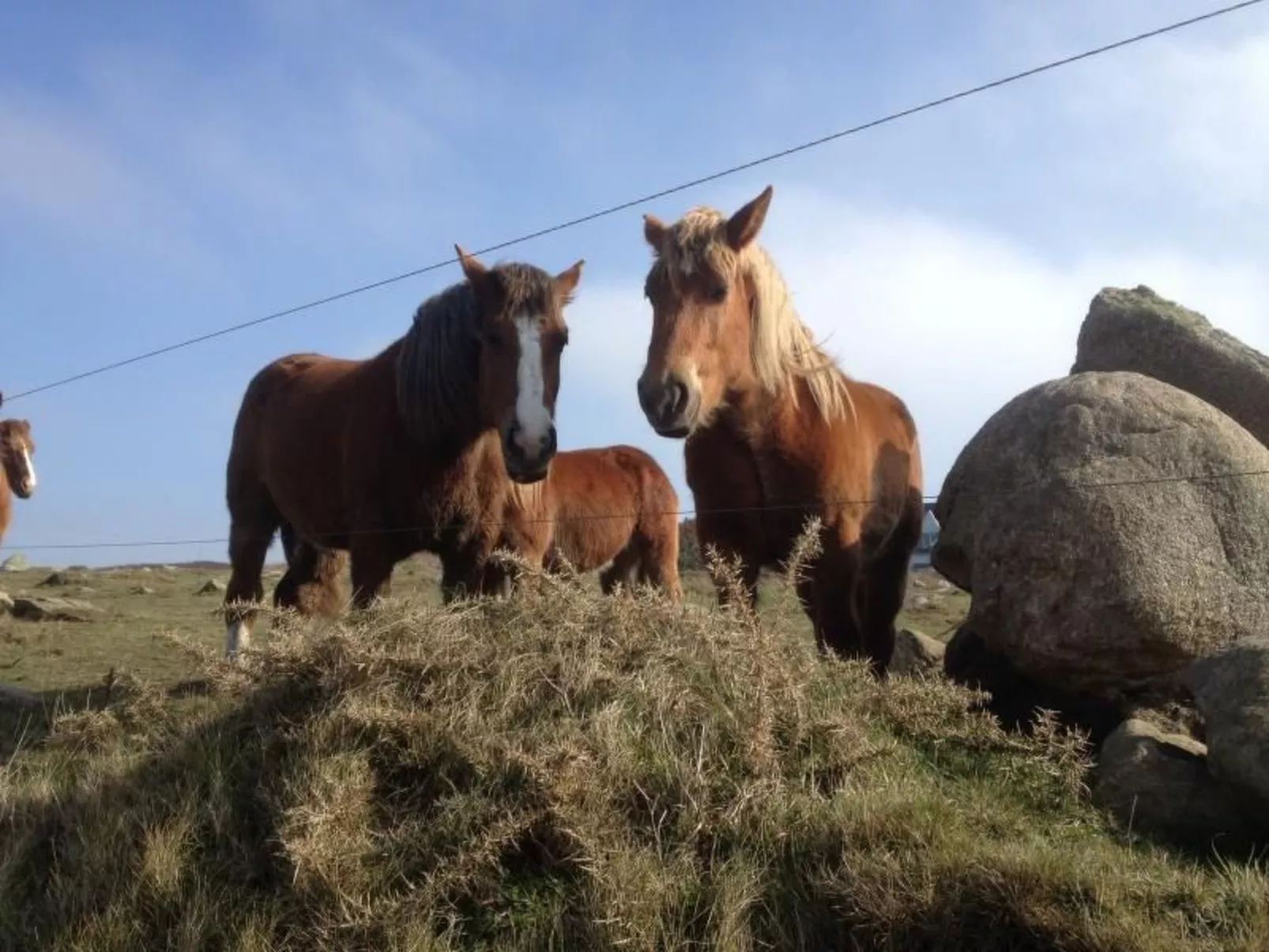 Ebenerdiges Haus am Meer-Image-tags.info