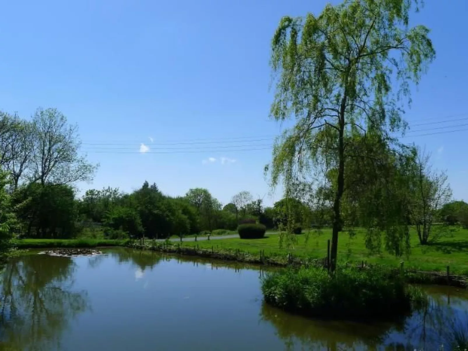 Helles, offenes Ferienhaus, Gemeinschaftspool Hunde-Buiten