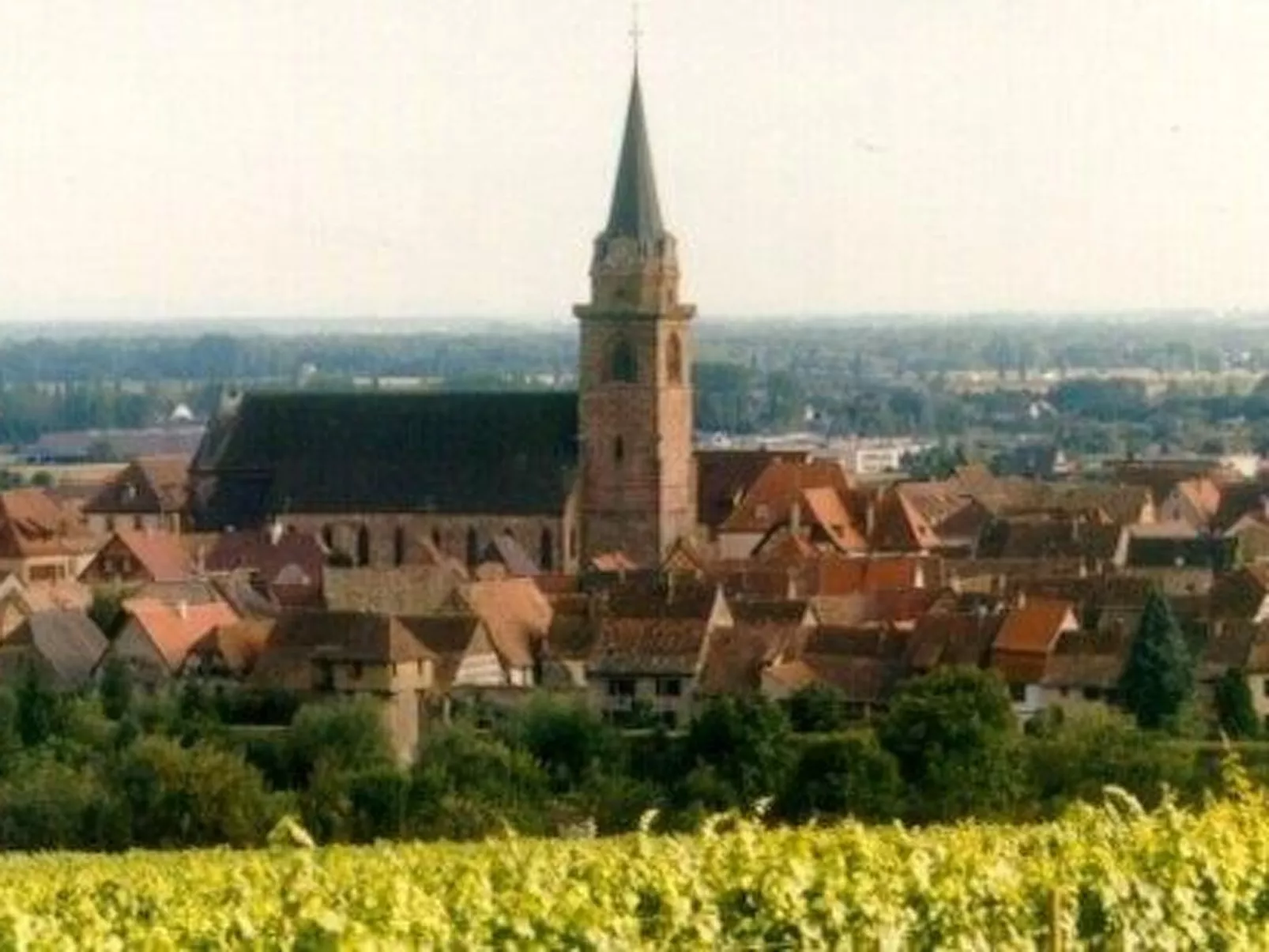 La Maison Bleue im Zentrum des Elsass in Bergheim-Buiten