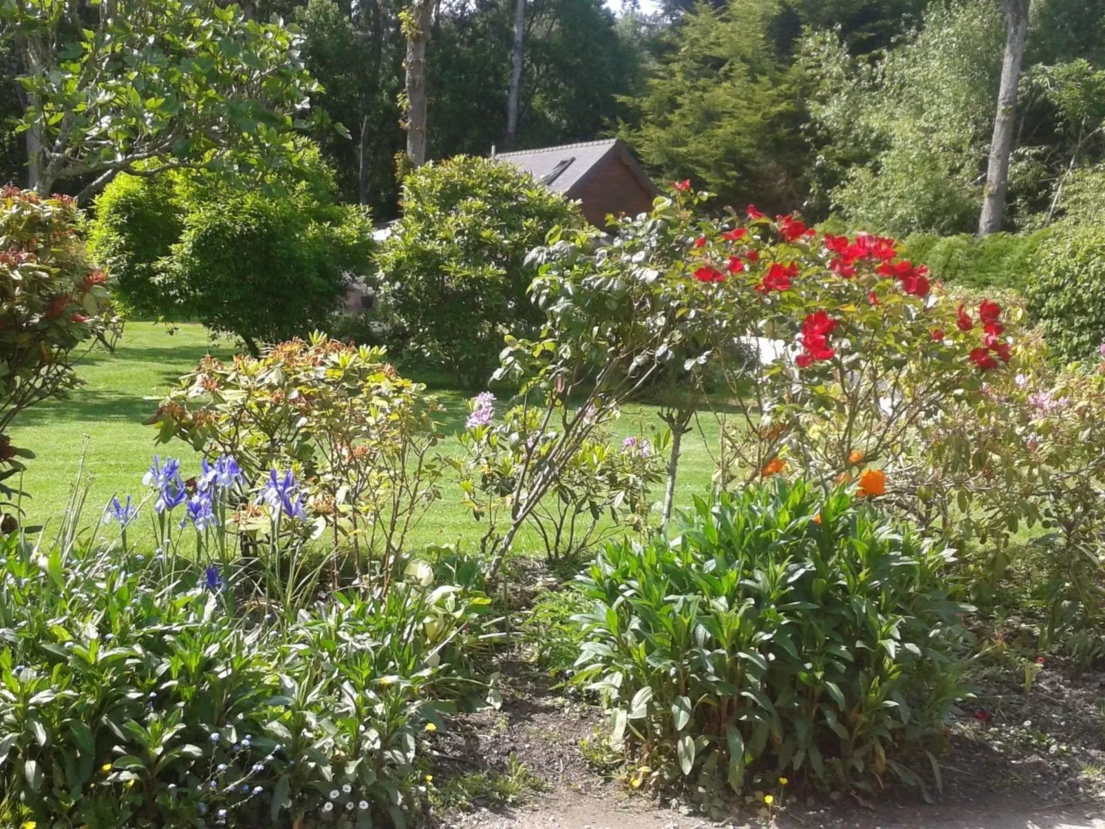 Chalet "gite du bois d'amour" (Hütte des Liebesh-Buiten