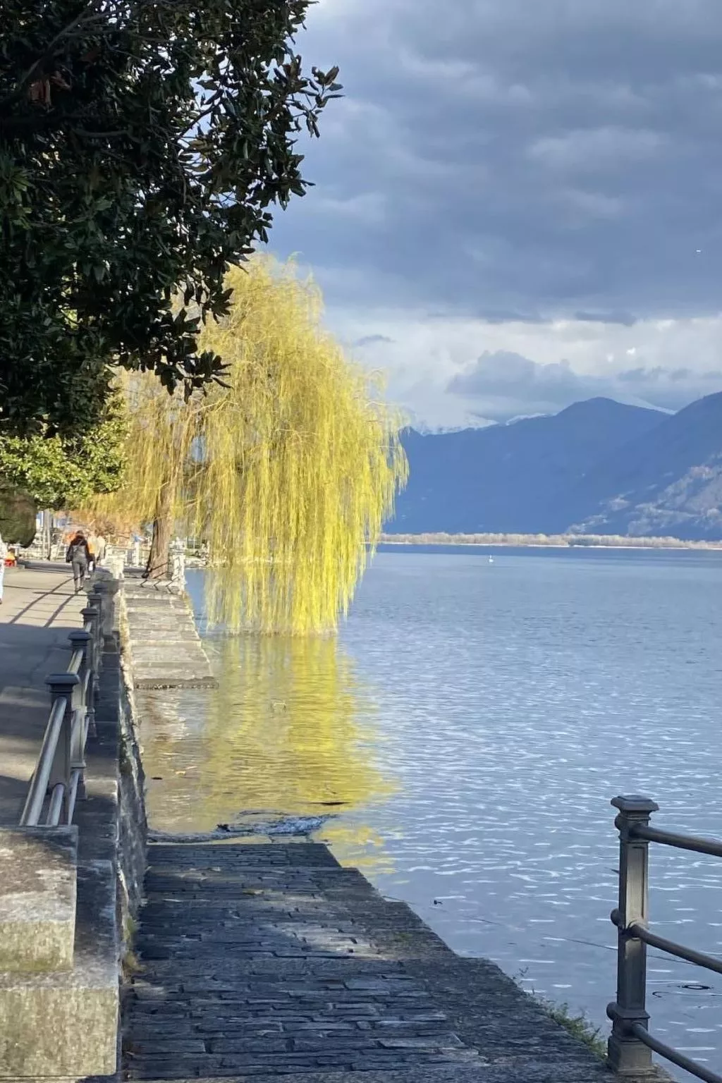 Panoramawohnung Orselina Locarno-Image-tags.info