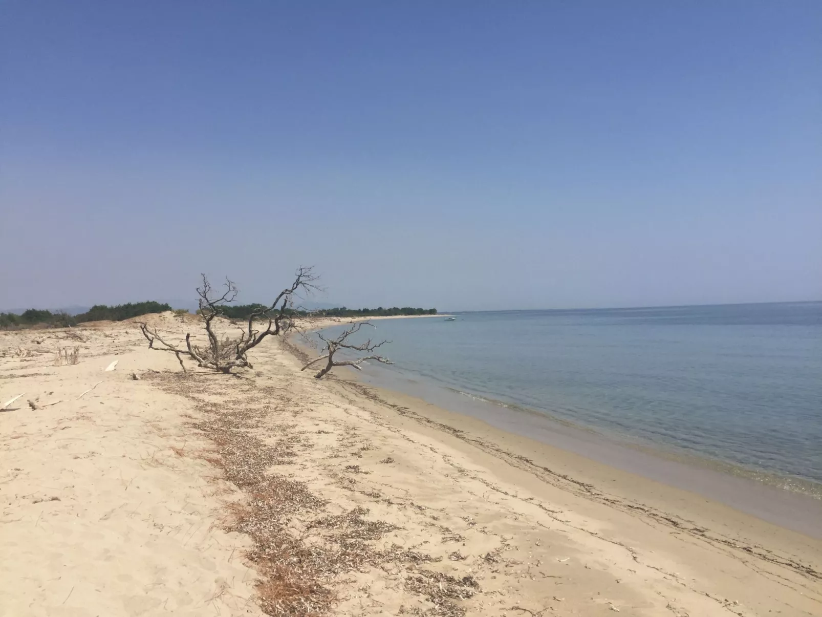 Weingut Punta della Guardia Ruhig und beschaulich-Buiten