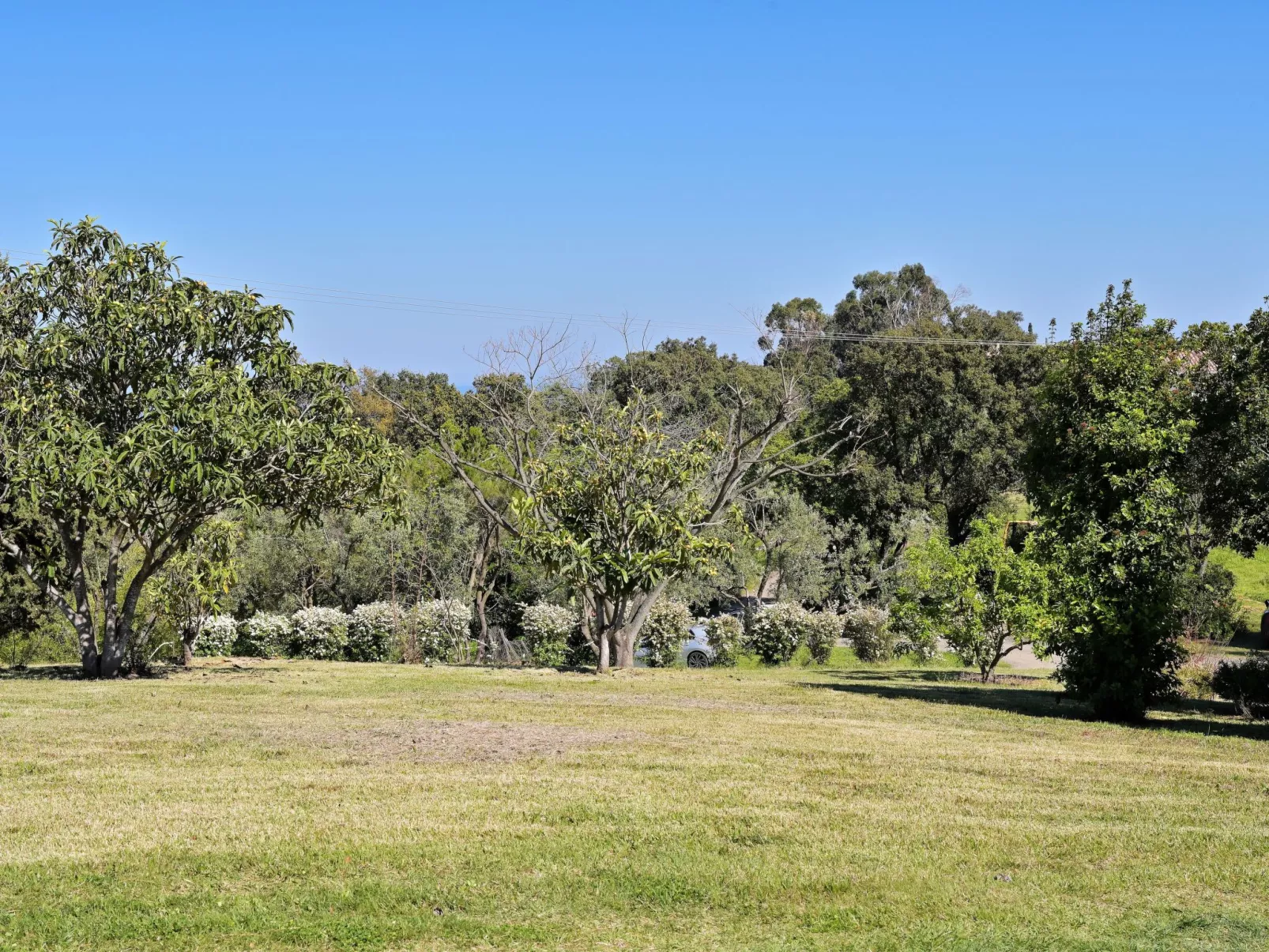 Domaine Punta della Guardia Maison A Figa mit Blick auf das Meer-Image-tags.info