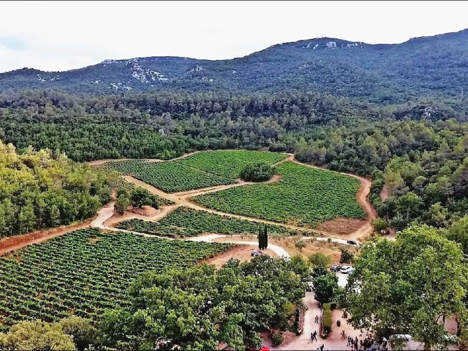 Wohnung in charmantem Haus auf Domäne-Buiten