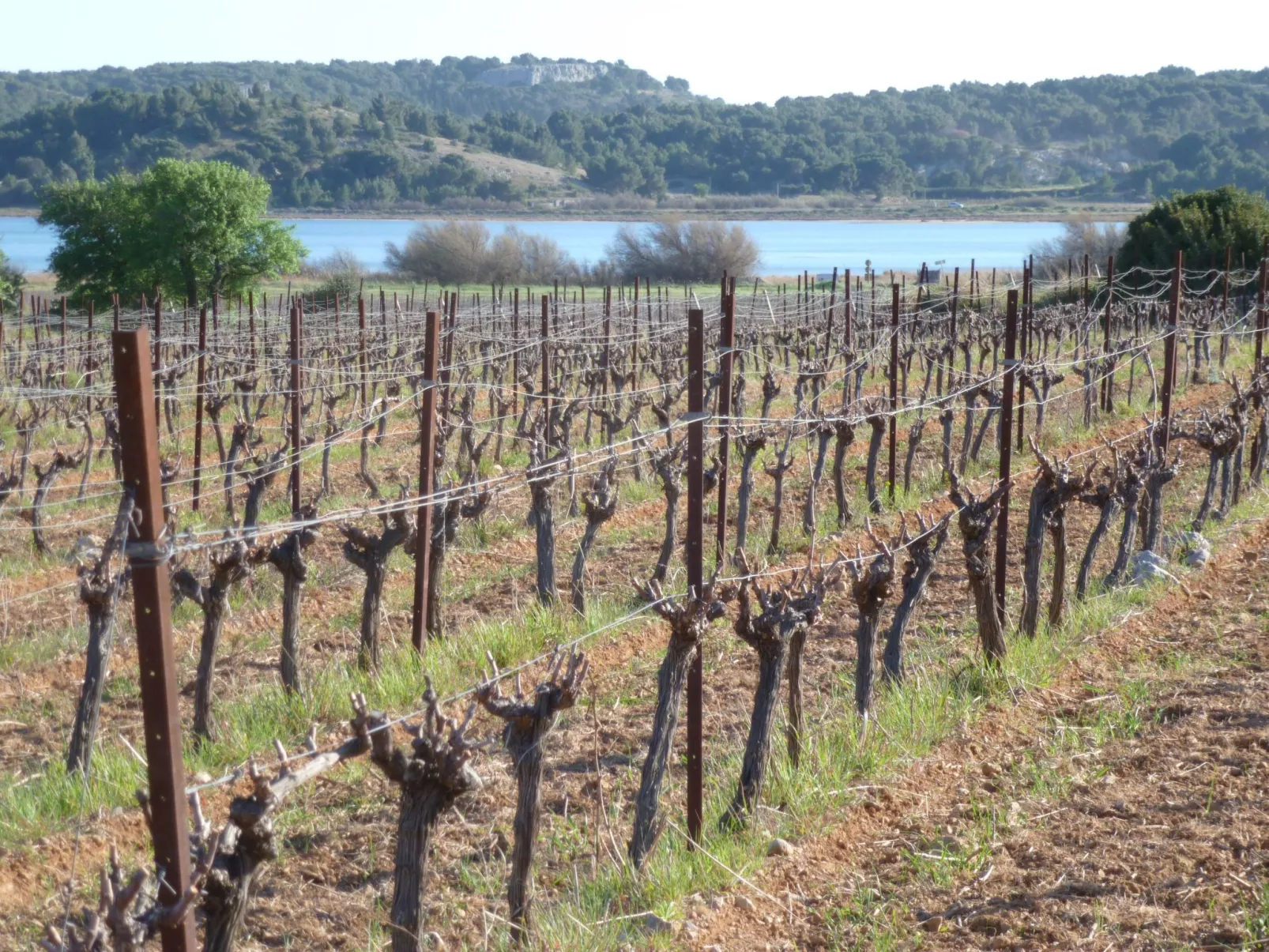SAISONALE VERMIETUNG: DIE PERGOLA AM STRAND.-Buiten