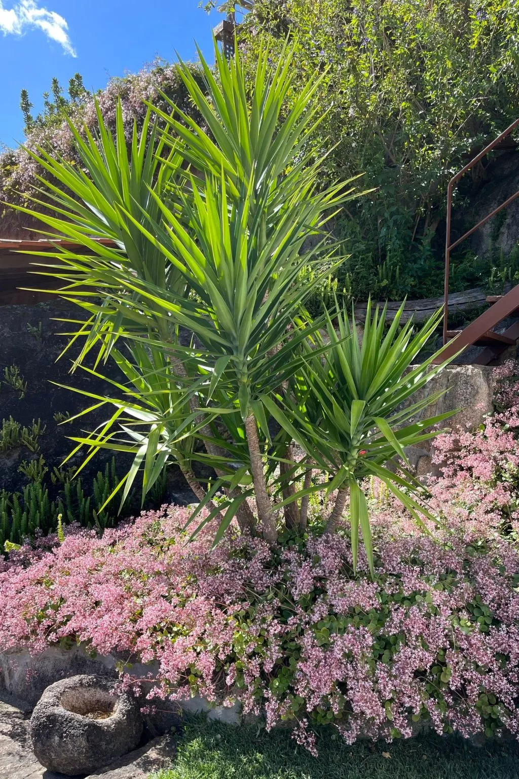 Casas das Olas 1 - Großartige Aussicht, 2 Pools, idealer Ort zum Entspannen und-Buiten
