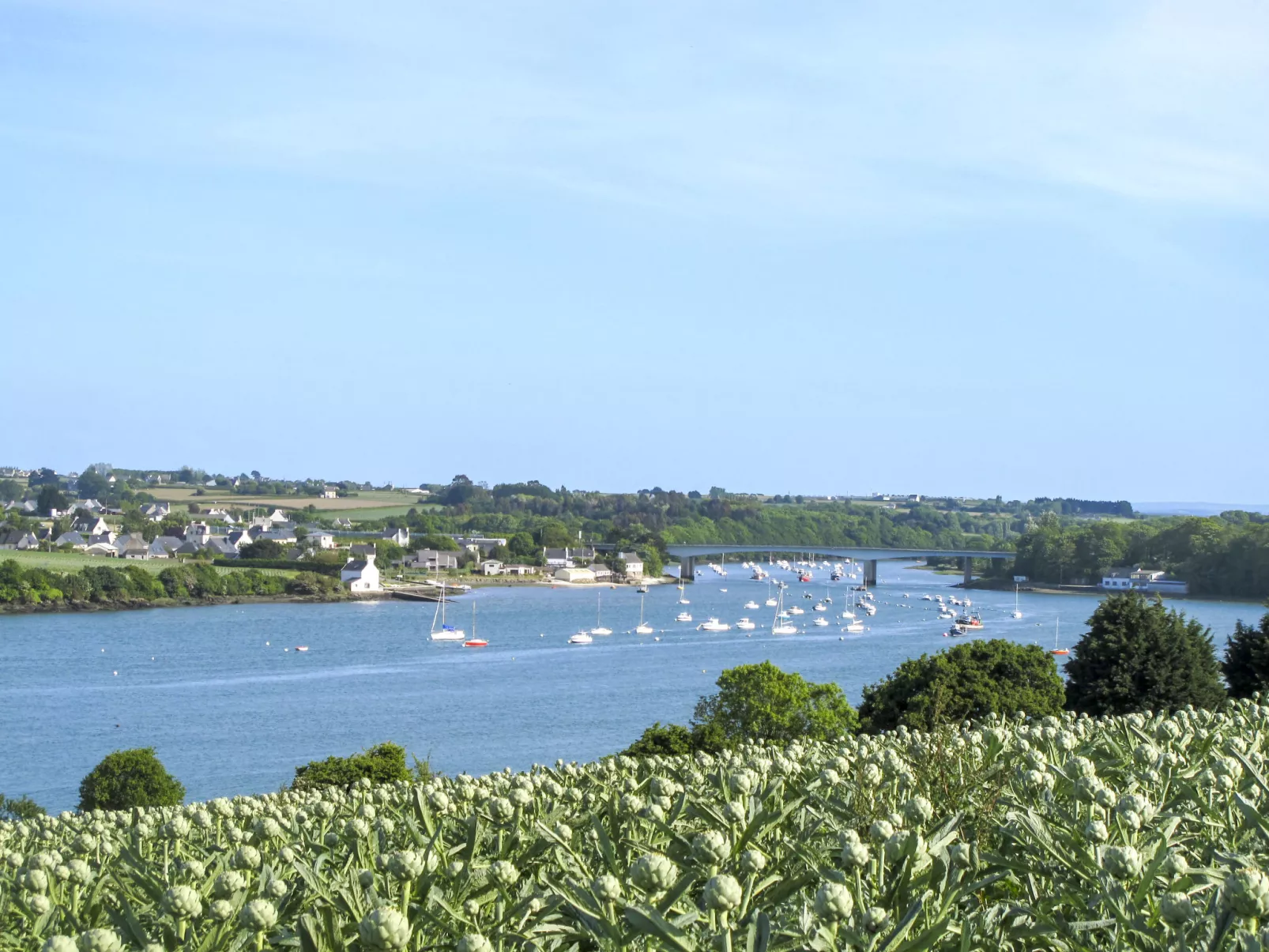 Apartment "Blue dream" in Strandnähe-Omgeving