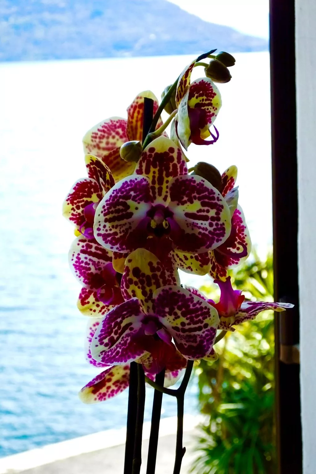 See-Penthouse-Buiten