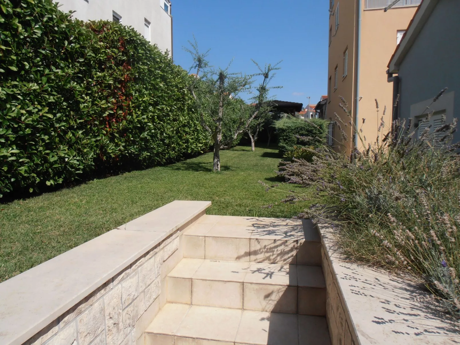 "Ines 1"-Image-tags.info