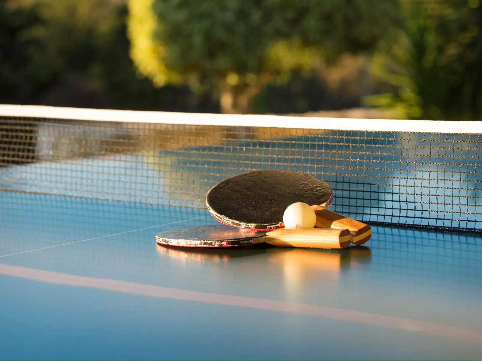 Villa Mathea - Kreta - Große Luxusvilla mit privatem Pool - Zentrale aber ruhig-Image-tags.info