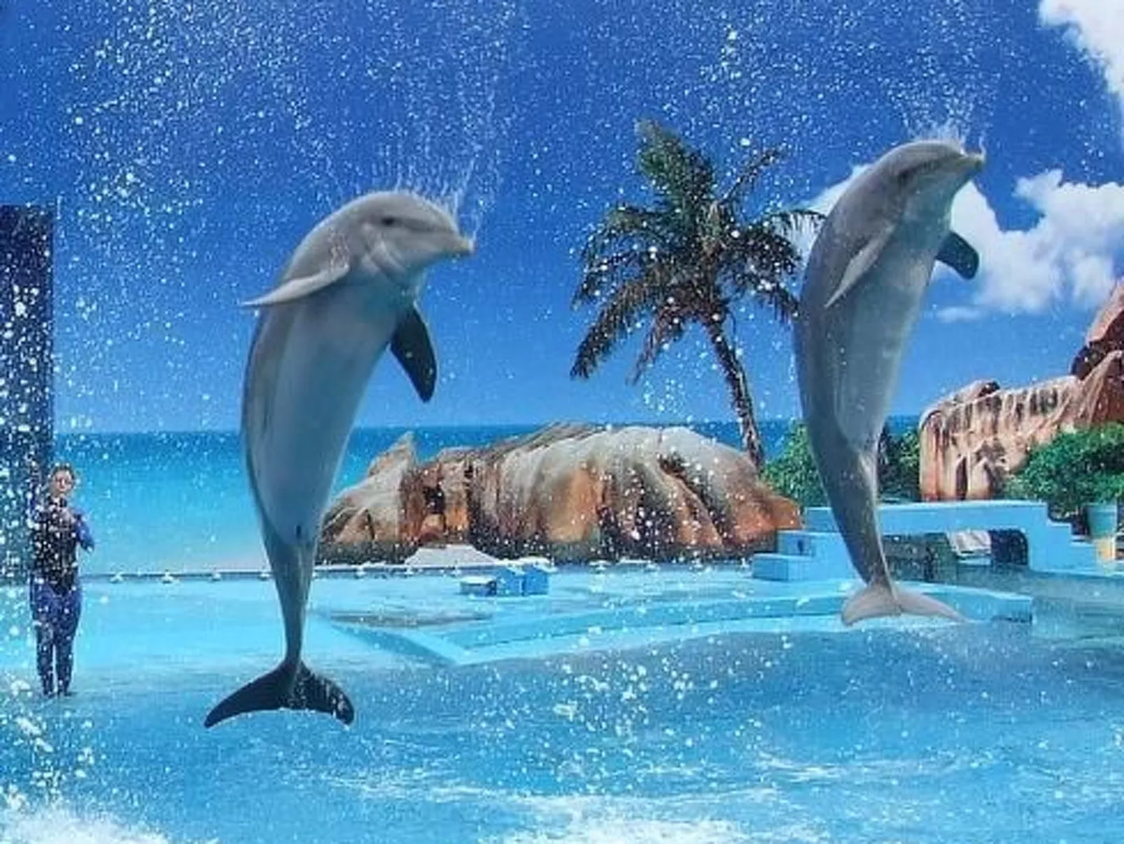 Mit Balkon-Image-tags.info