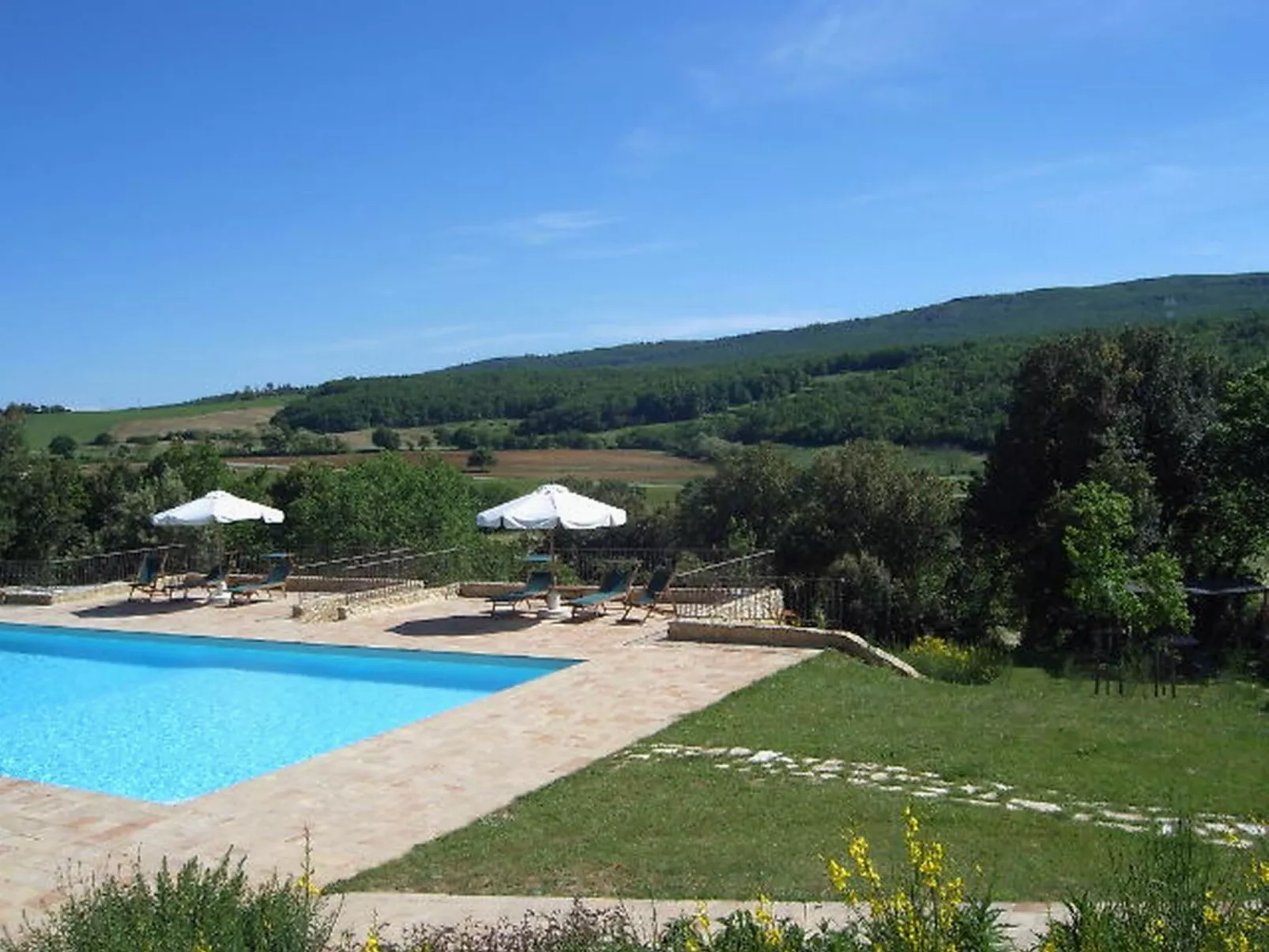 Buchfinkmaskie-Buiten