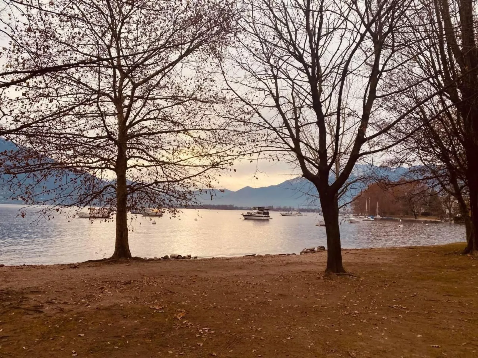 Residenza Arazzo-Image-tags.info