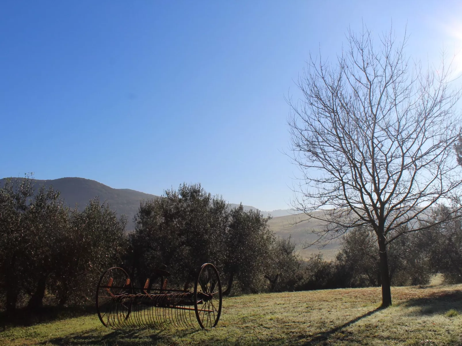 'Den Haag' mit eigenem Pool-Buiten