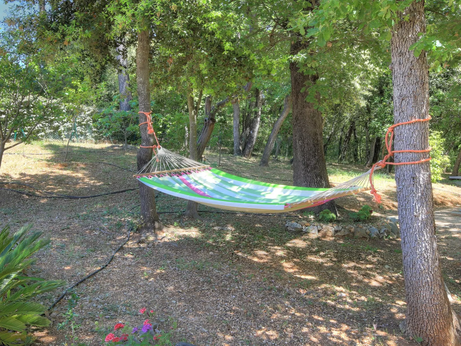 Villa Bois Dore in Valbonne-Buiten