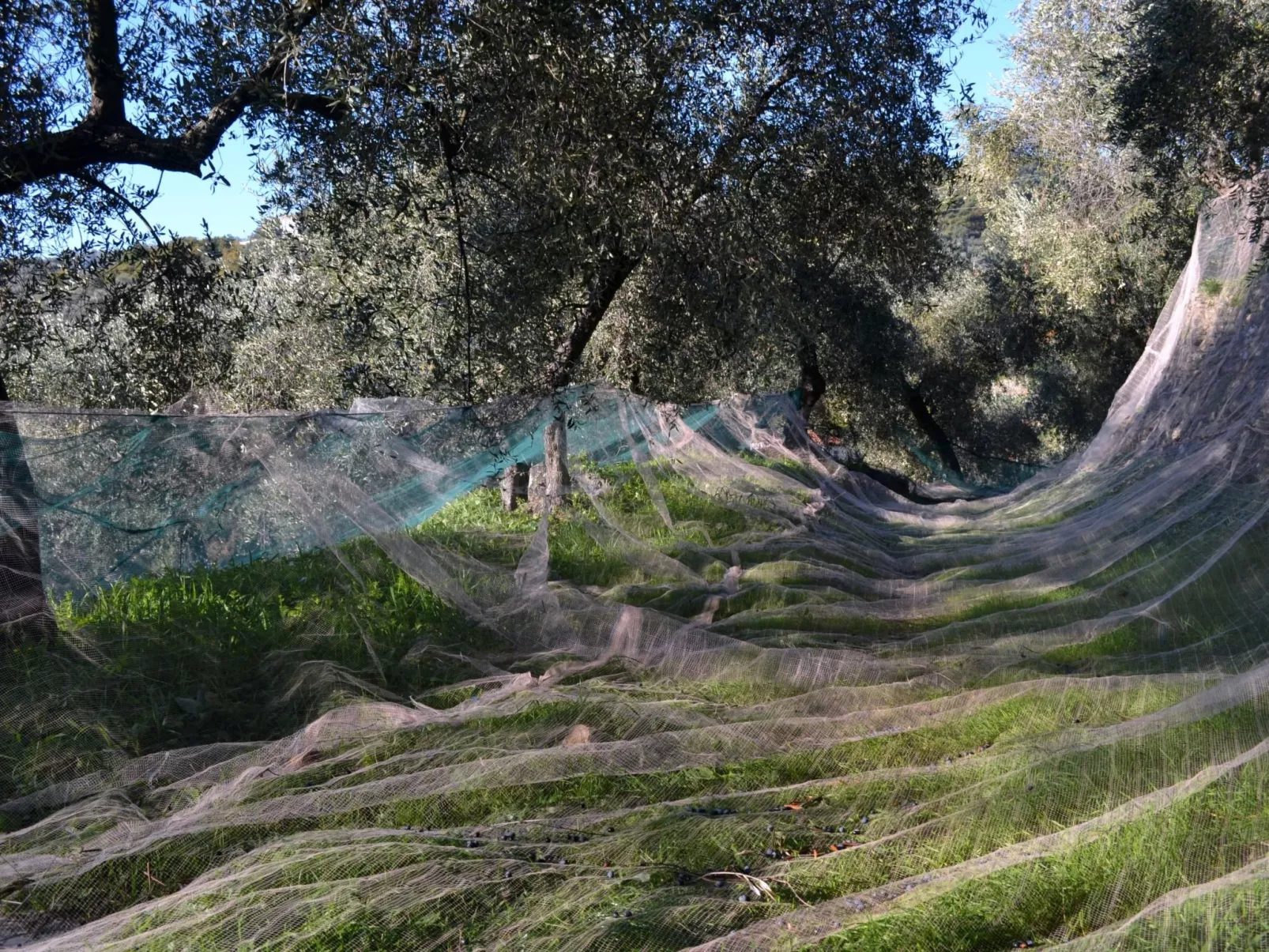 Charmantes Appartment in Diano San Pietro-Buiten