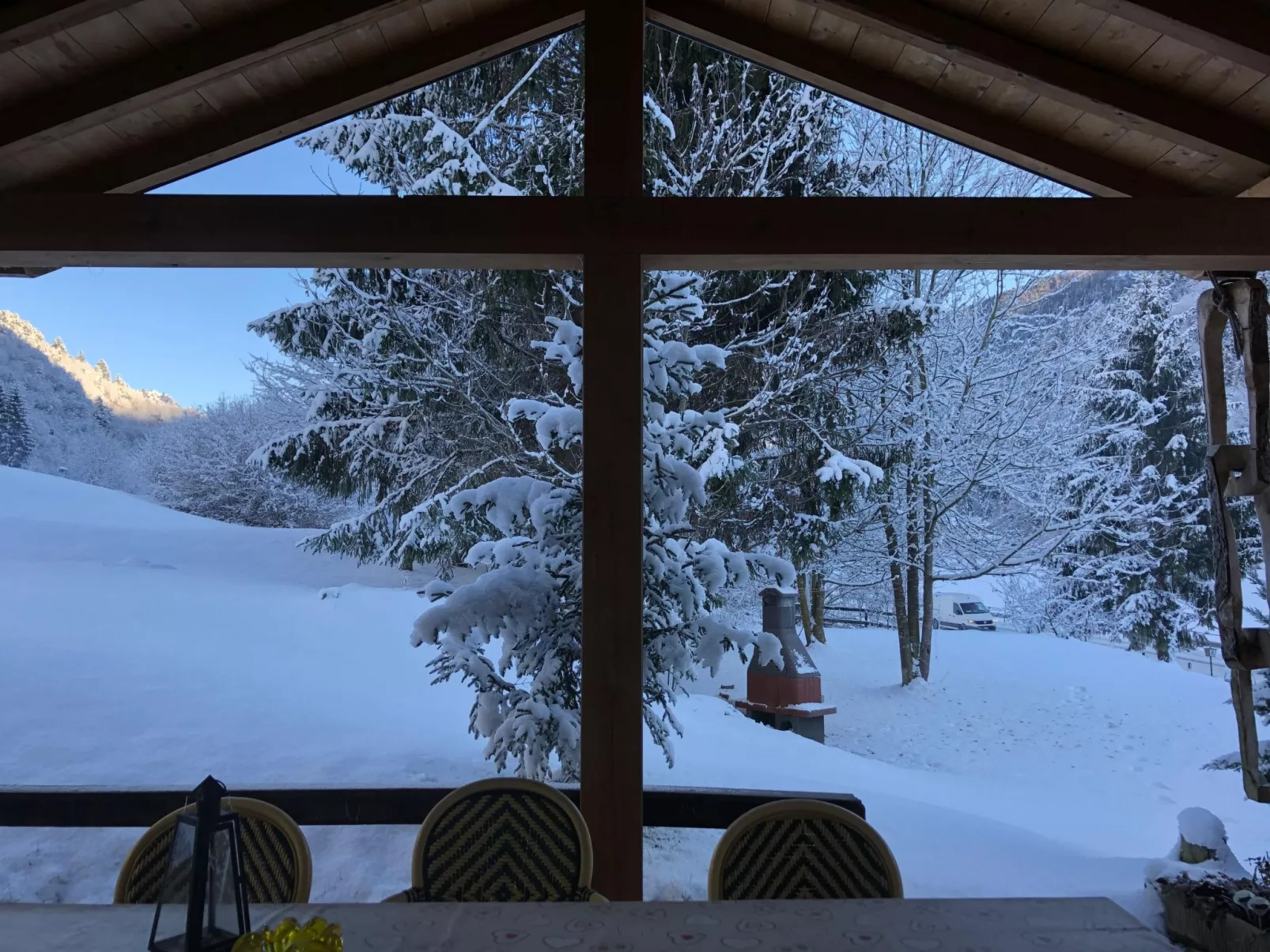 Gesegnet wie Frösche auf einem Seerosenblatt-Image-tags.info