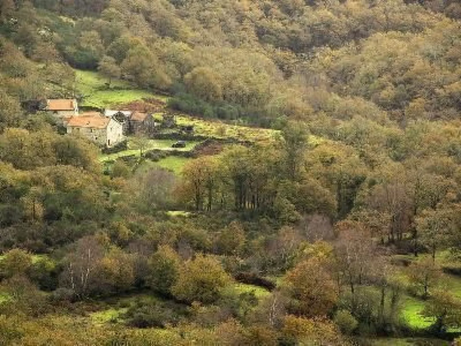 Finca "Casa do Portomartiño"-Buiten