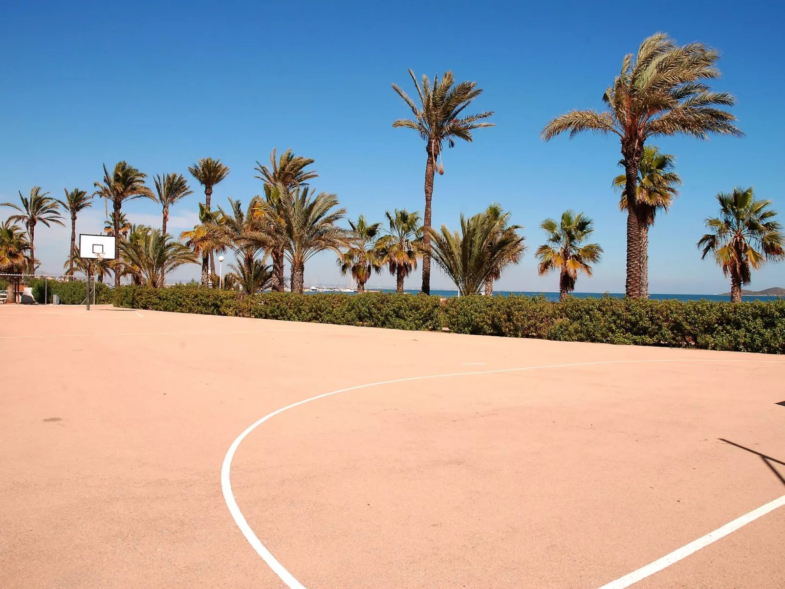 Almendros 7-Image-tags.info