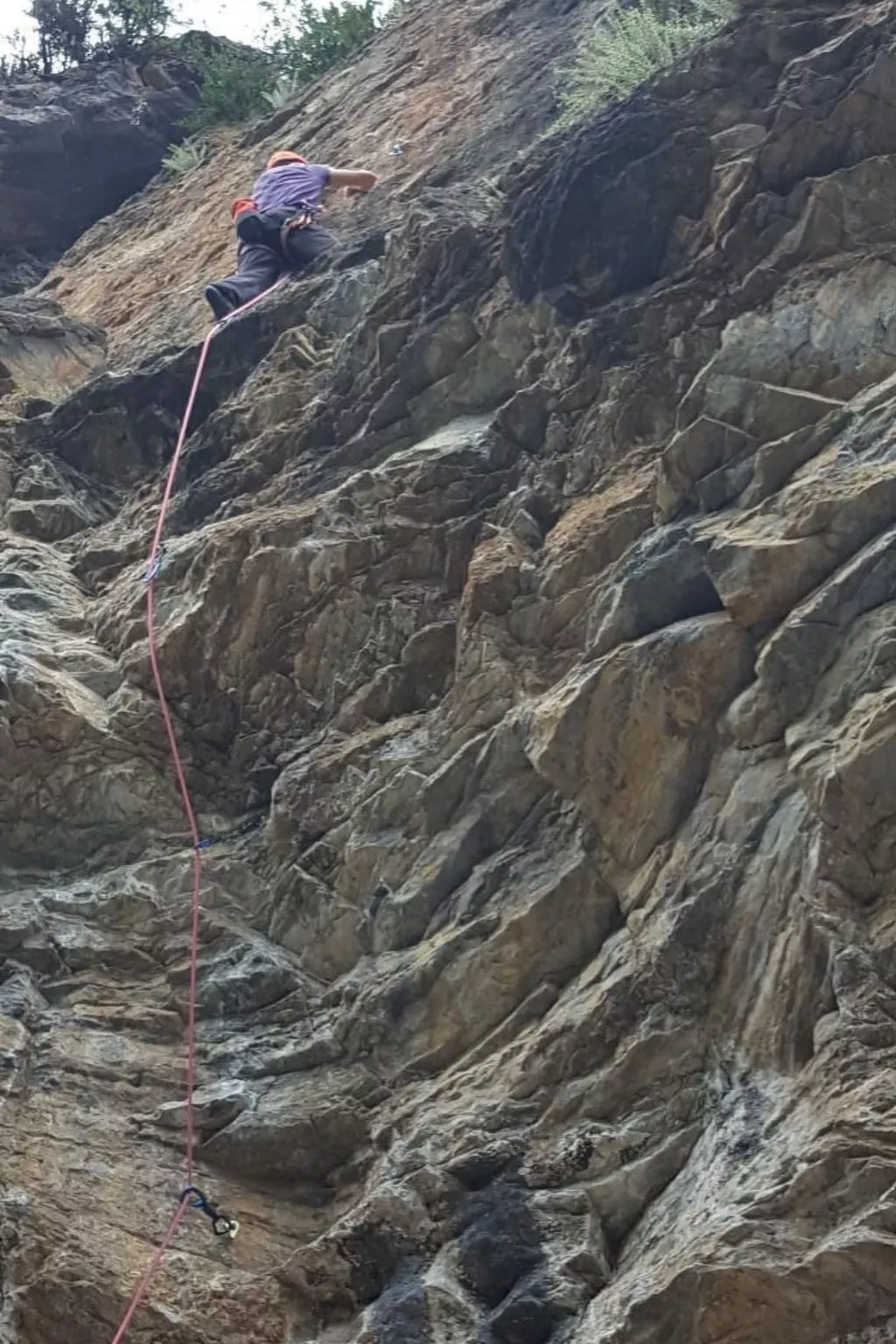 Appartement mit Terrasse-Image-tags.info