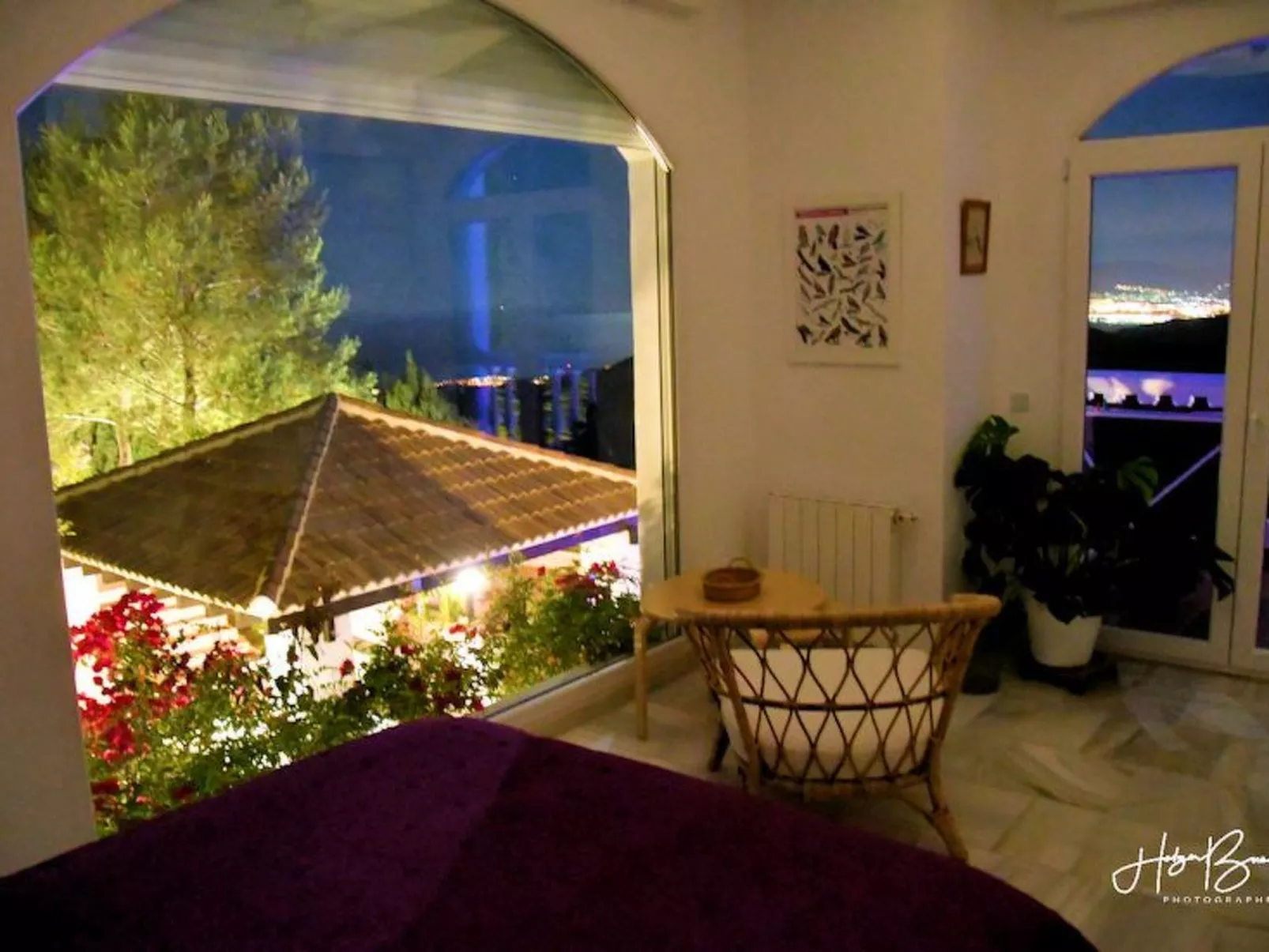 Villa Axarquia-Binnen