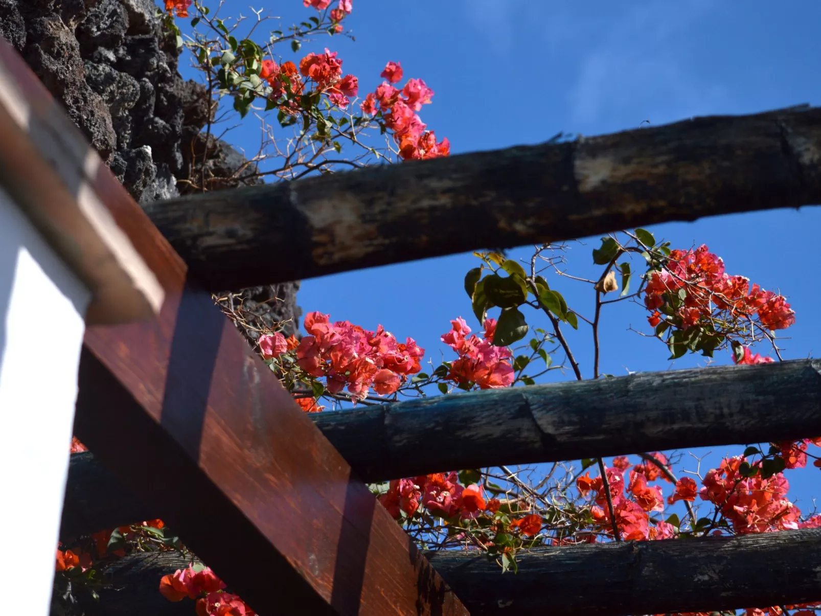 Schön eingerichtetes Bauernhaus - La Finca Yazmina-Image-tags.info