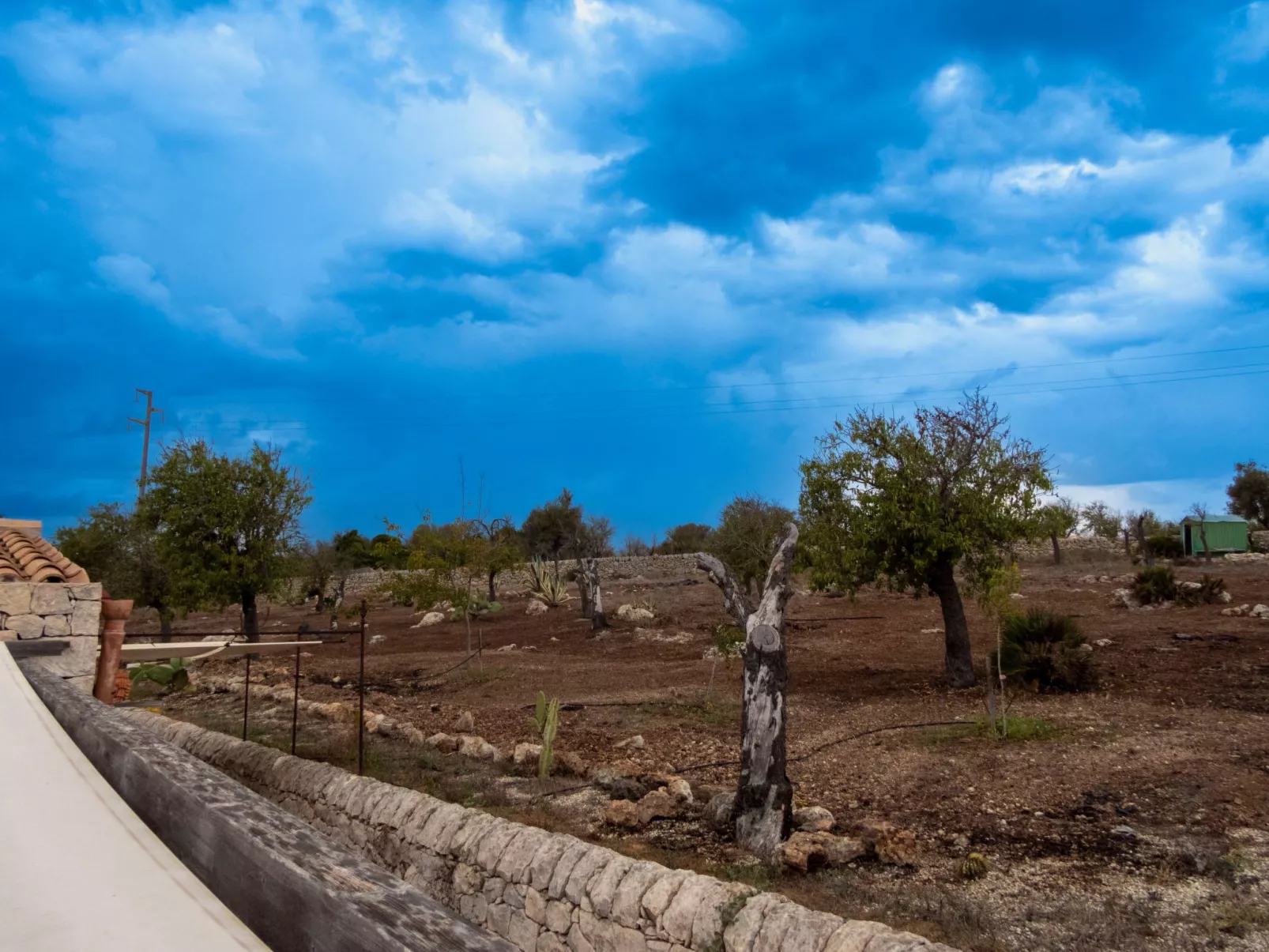 Pizzuta Haus-Image-tags.info