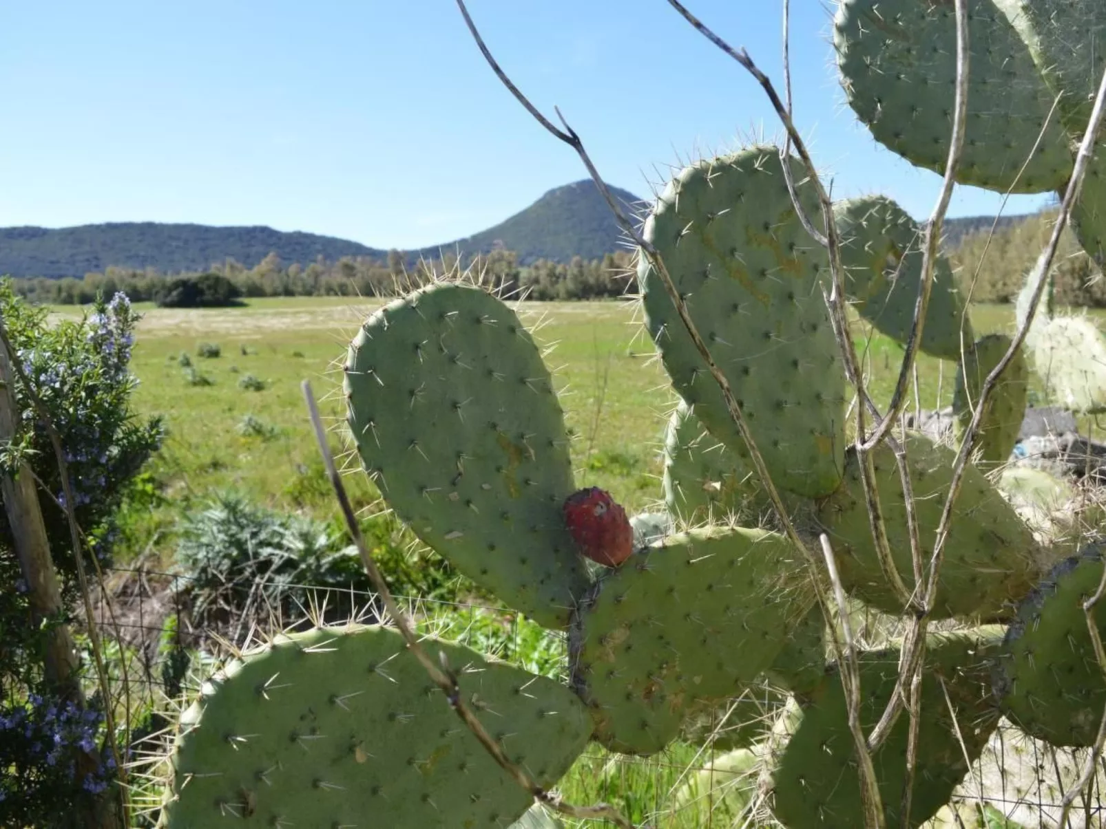 Su Sole de Barega-Image-tags.info