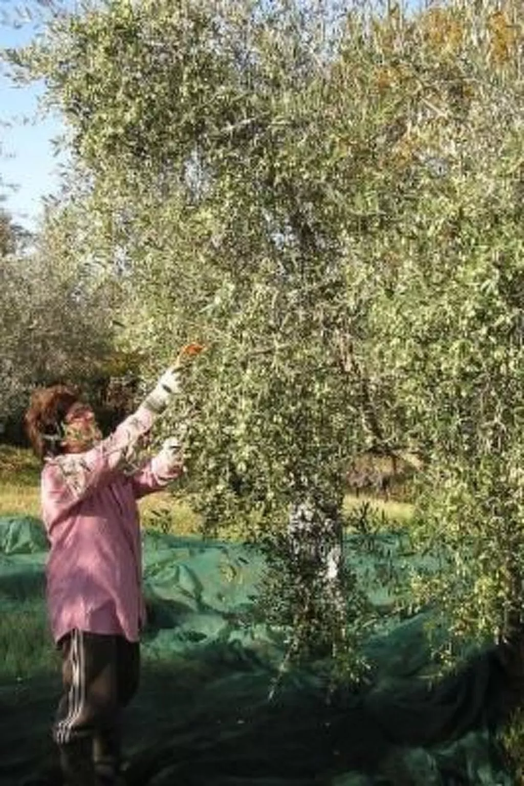 Ihr Zuhause in der Ferne - Buiten