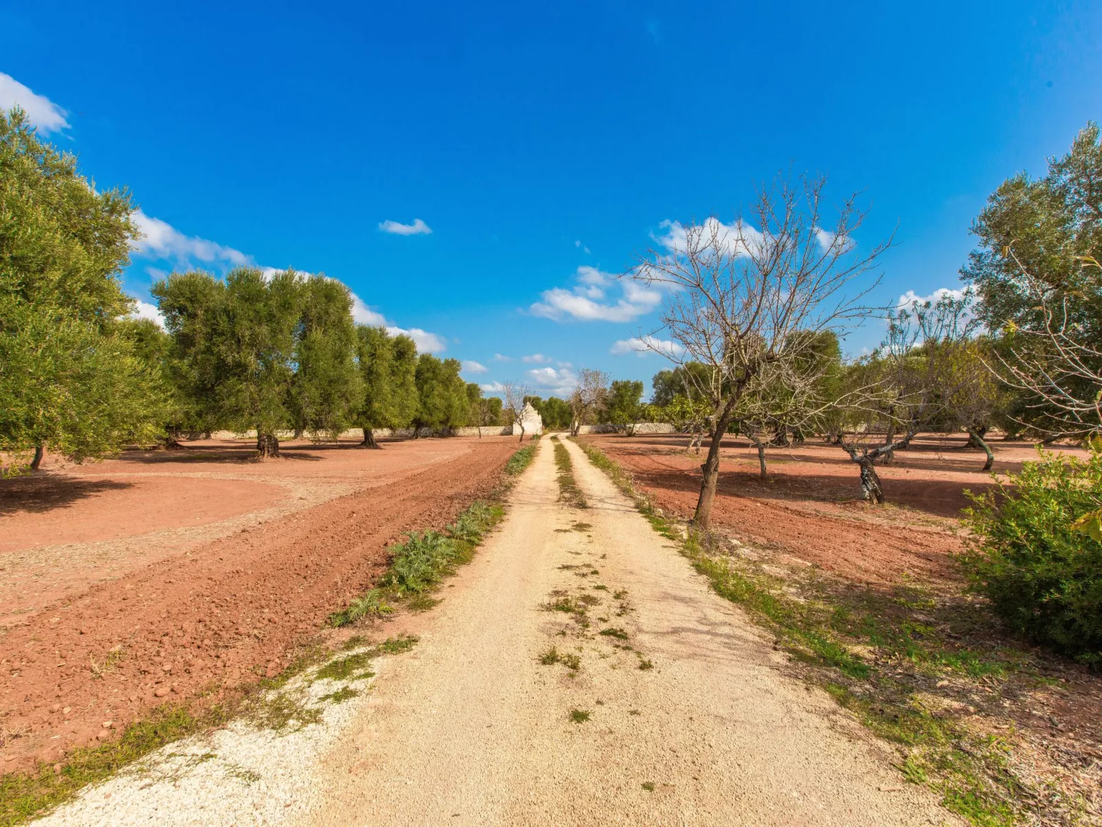 TRULLO  mit pool OSTUNI: Kostenlos: Bettwäsche und Handtücher, 2 Fahrräder, 1 H-Buiten
