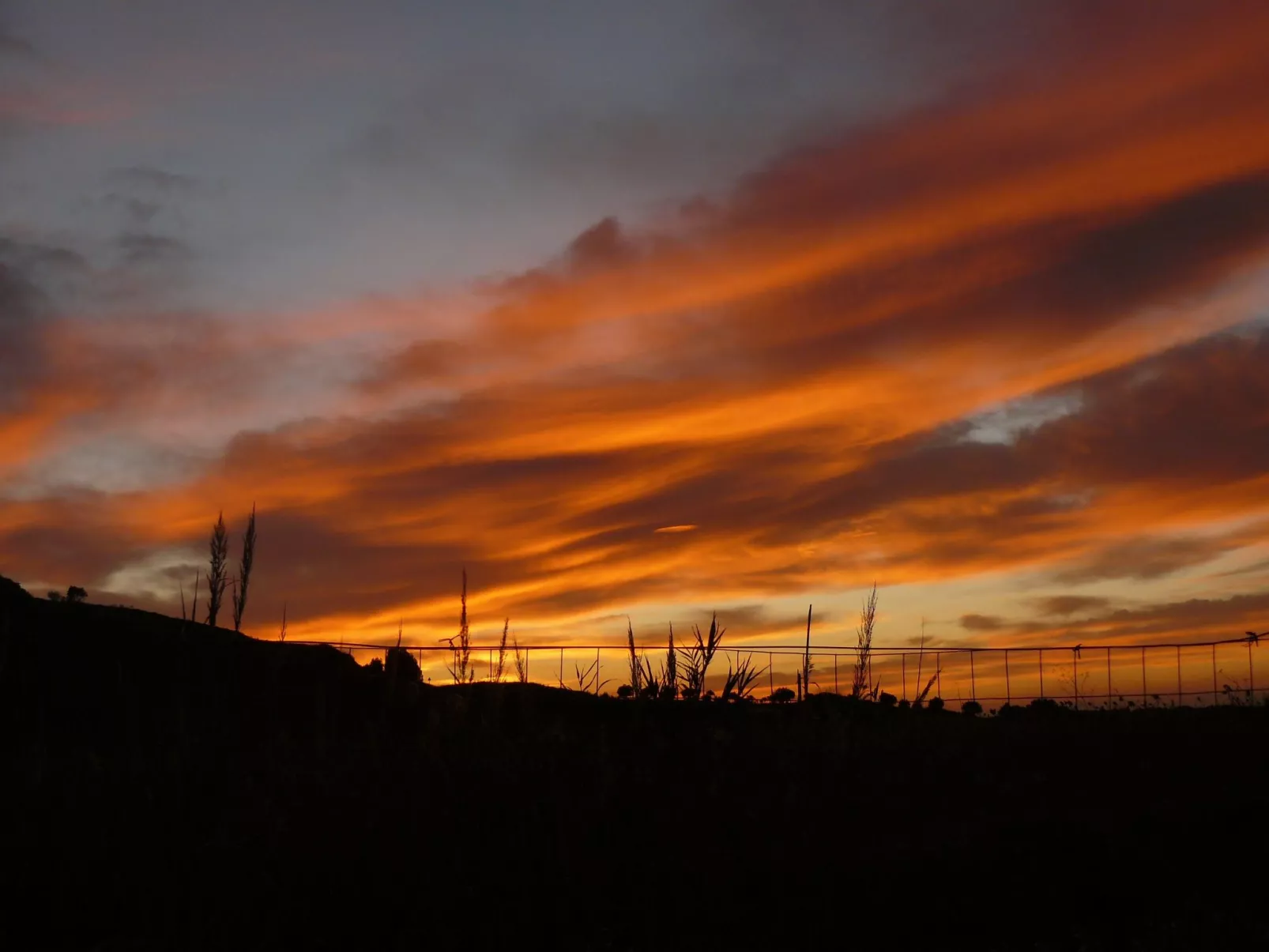 Wohnung 3 - Zwei-Zimmer-Wohnung-Buiten