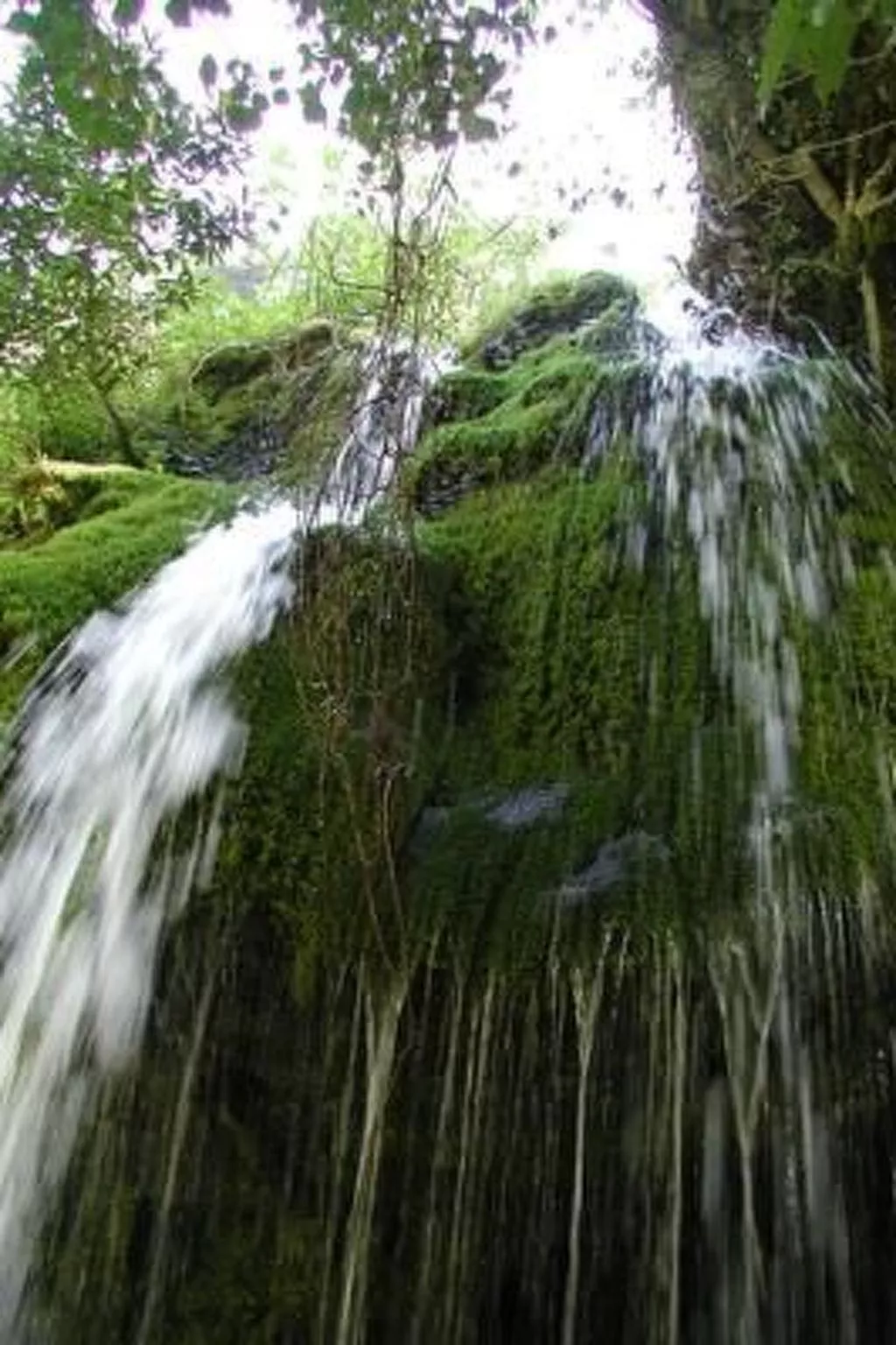 Natursteinhaus mit Panoramablick zum Meer-Image-tags.info