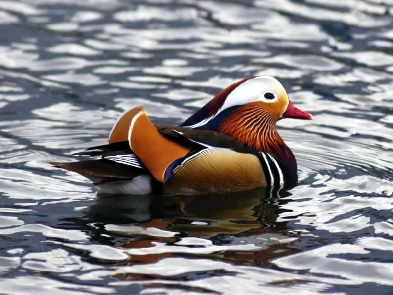 Studio-Apartment mit Zwischengeschoss in einem historischen Gebäude in Zorzino-Image-tags.info