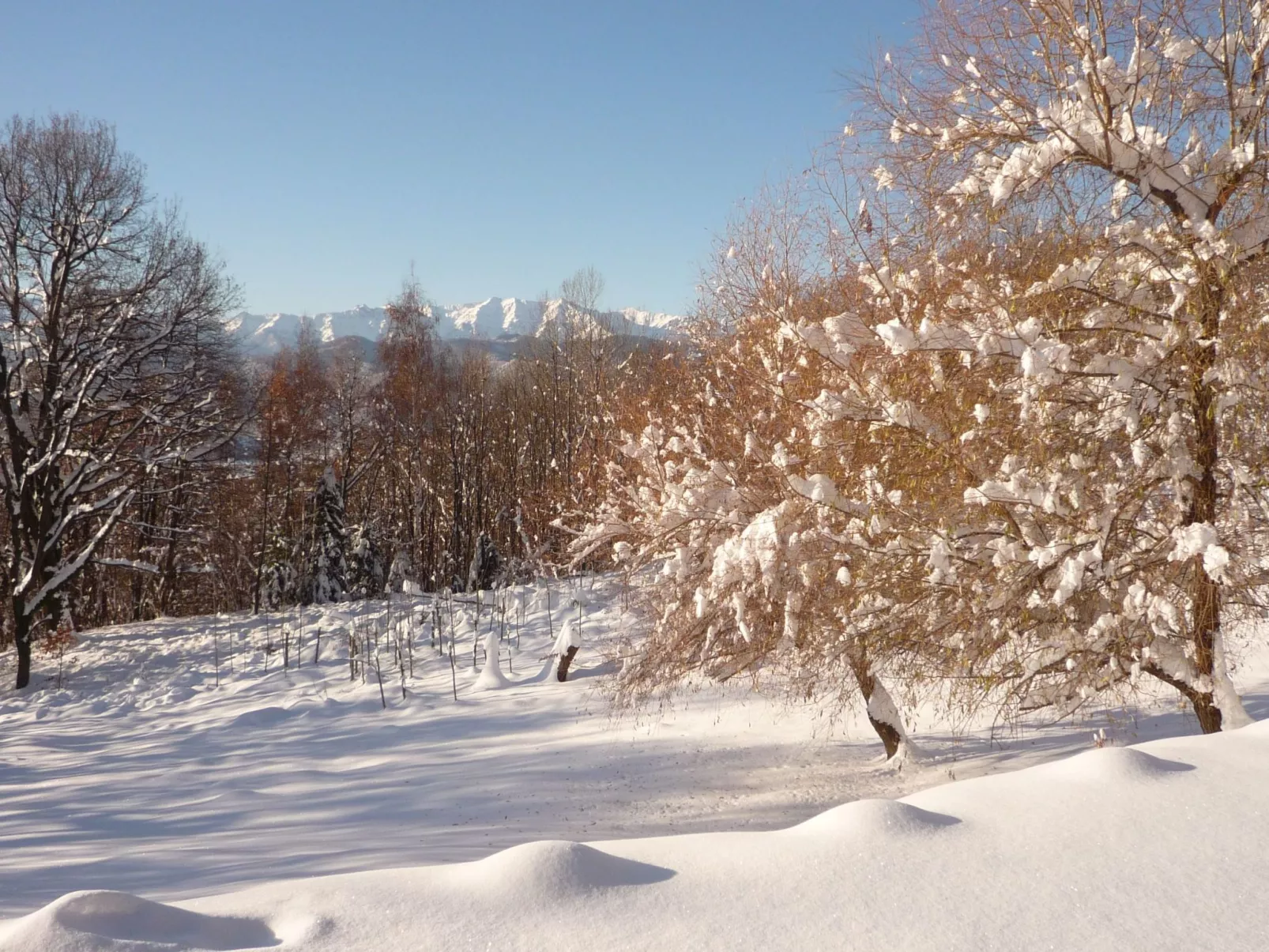 Casa Bella Vista-Buiten