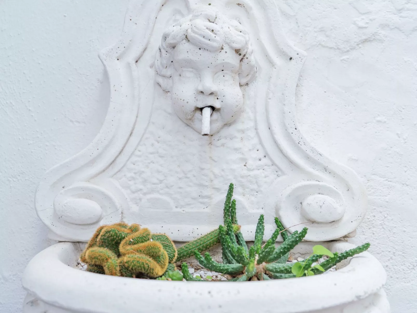 Mit Meerblick-Buiten