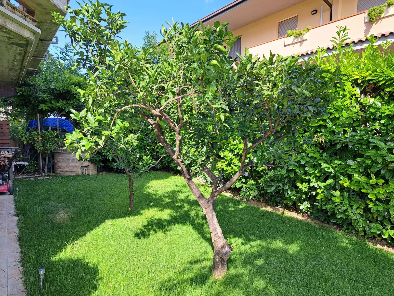 "Daphne Experience".-Buiten