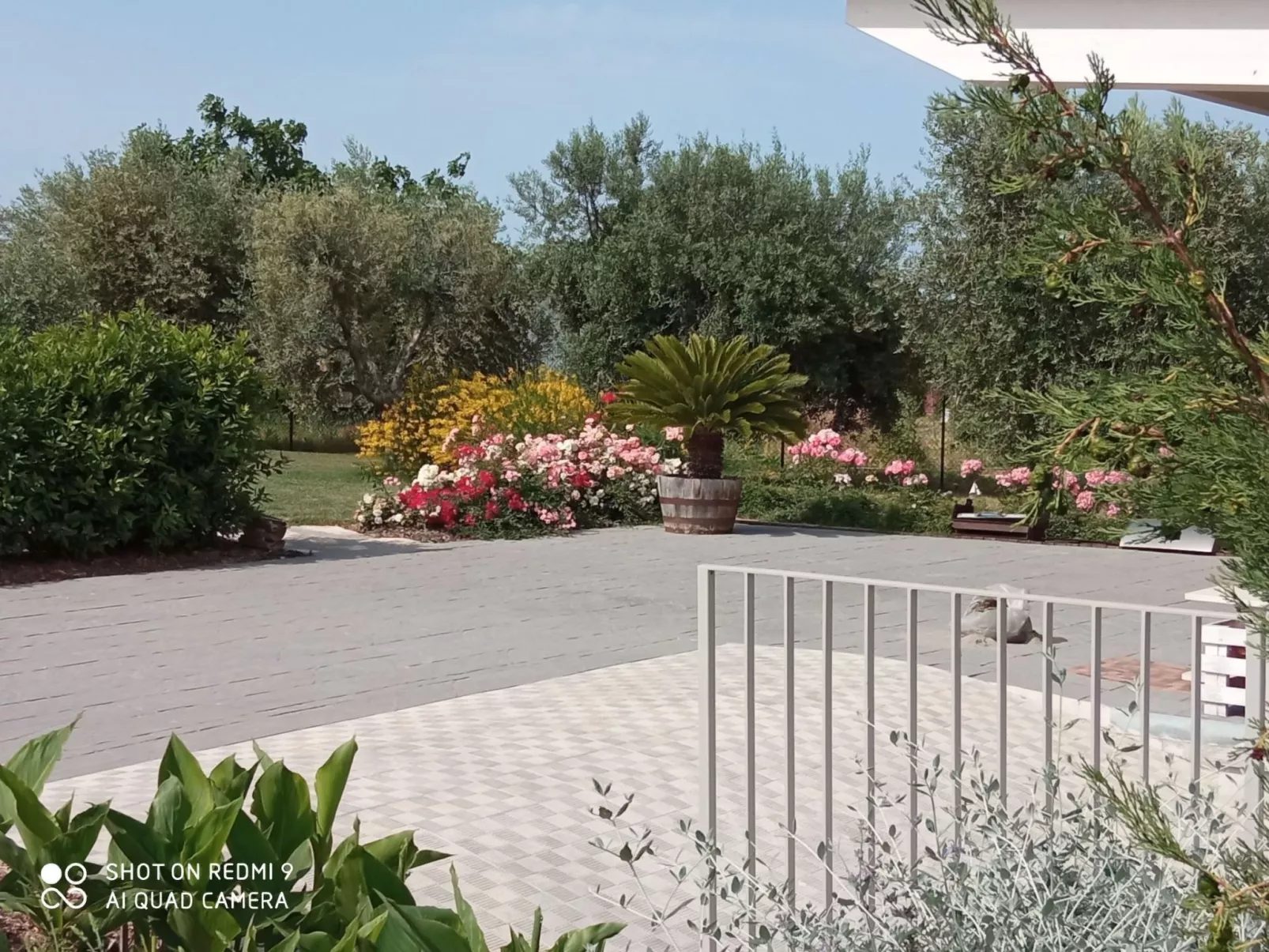 Villa mit privatem Pool in der Nähe der adriatischen Strände-Buiten