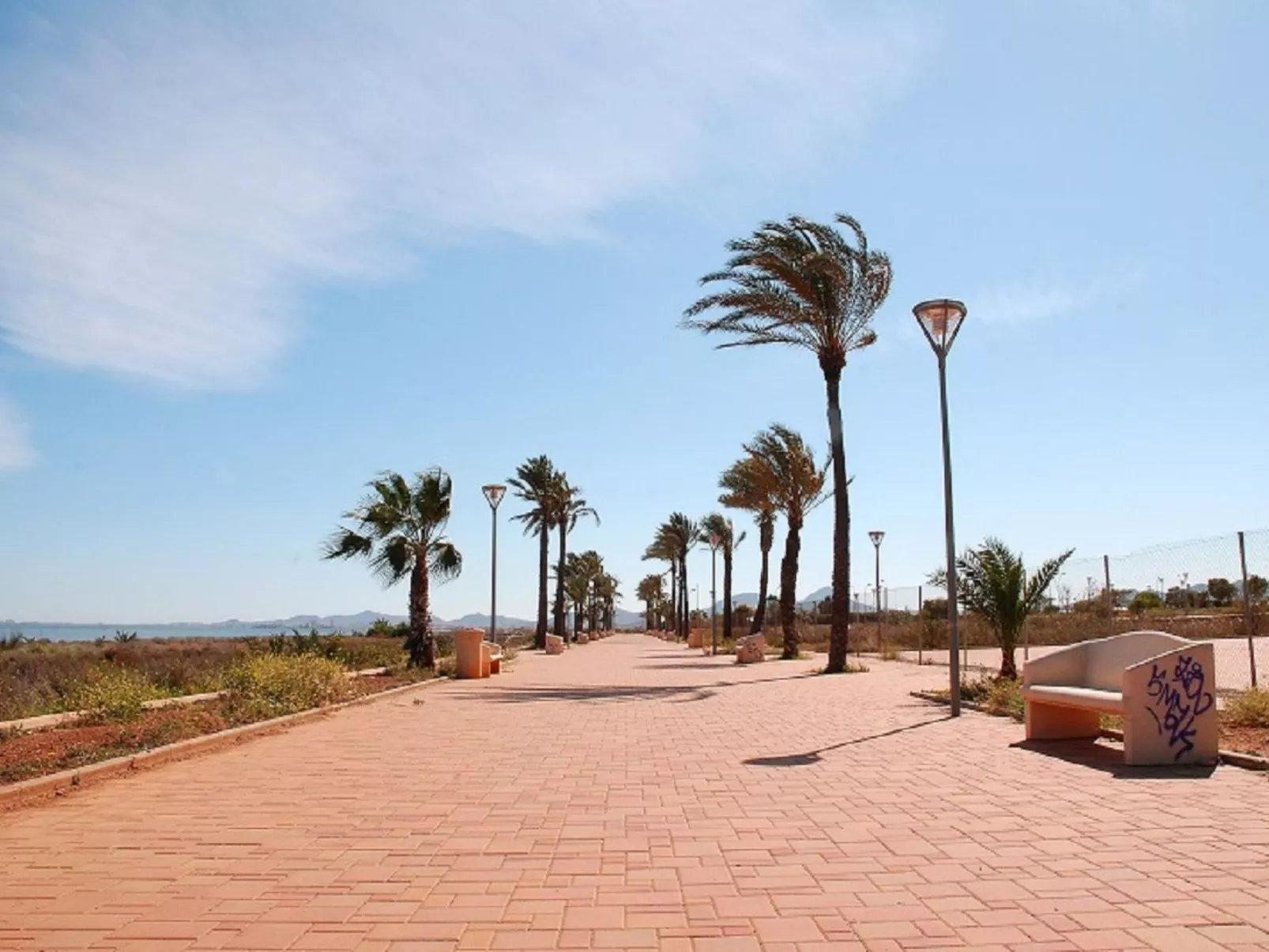 MOLINO 4-Image-tags.info