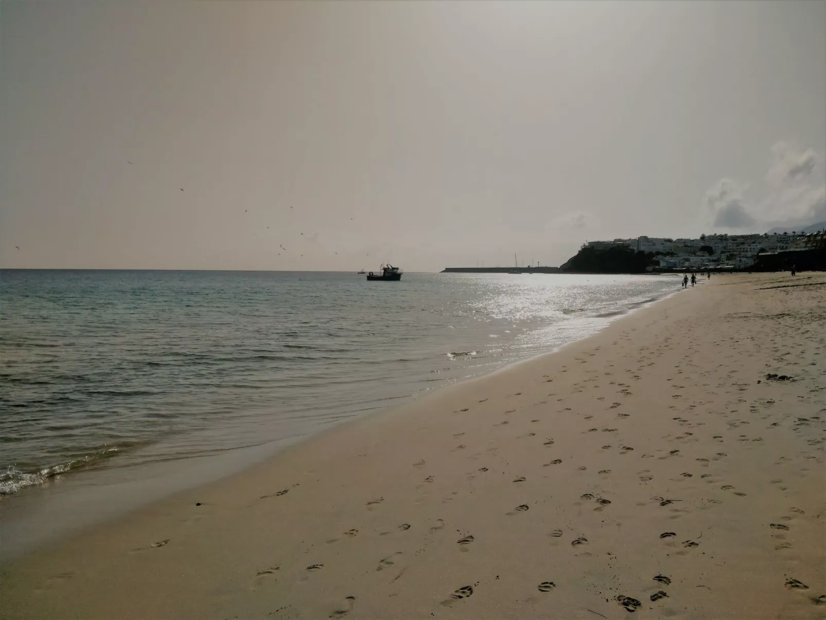 Wohnungen Palm Garden-Image-tags.info