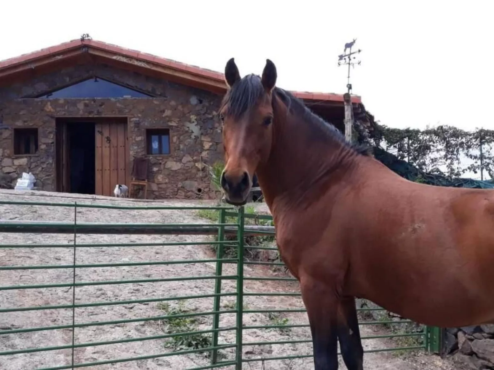 Finca "Sunny Scape Rural-Image-tags.info