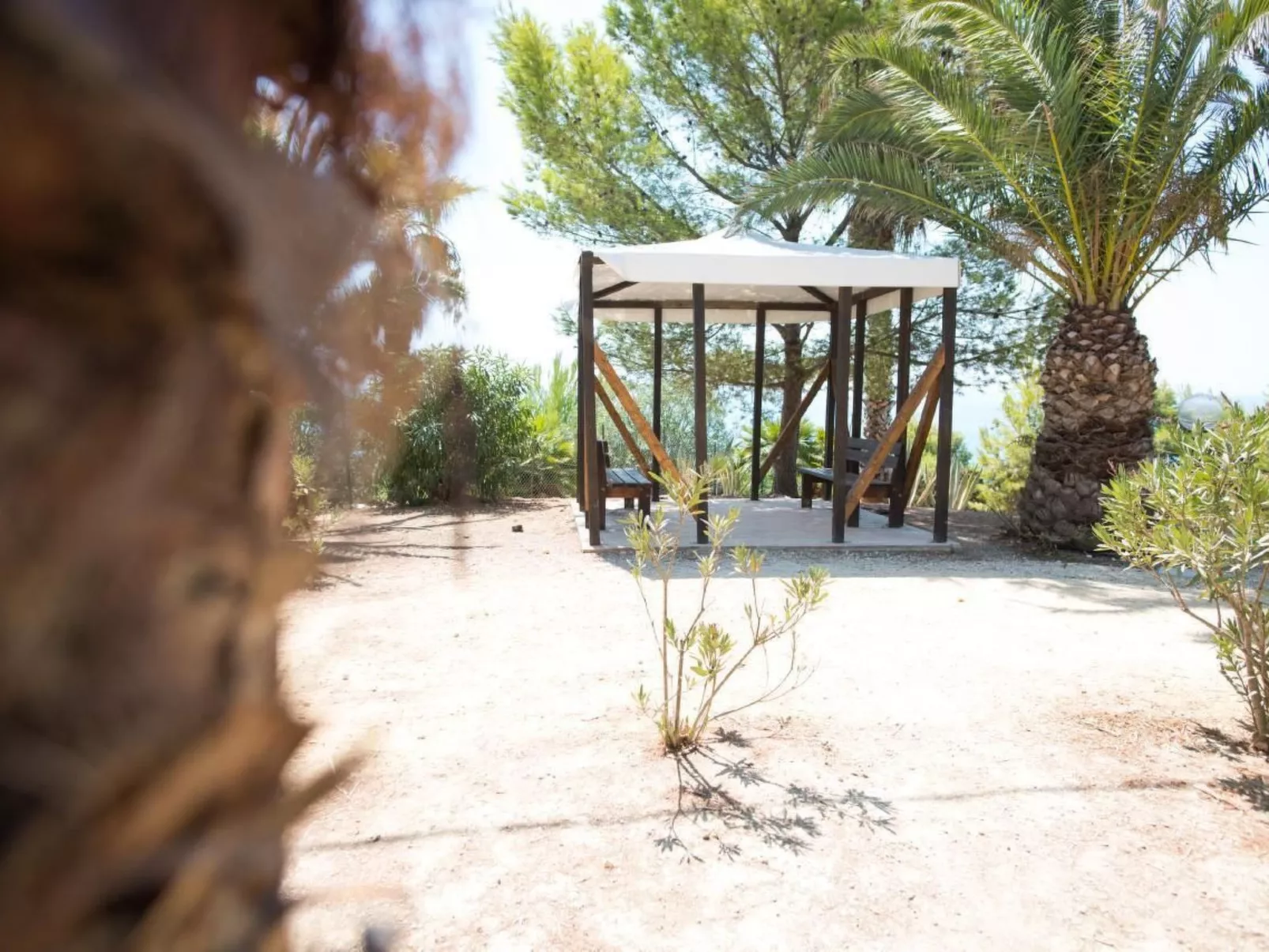 Wohnung in Sciacca mit Grill und Garten - Image-tags.info